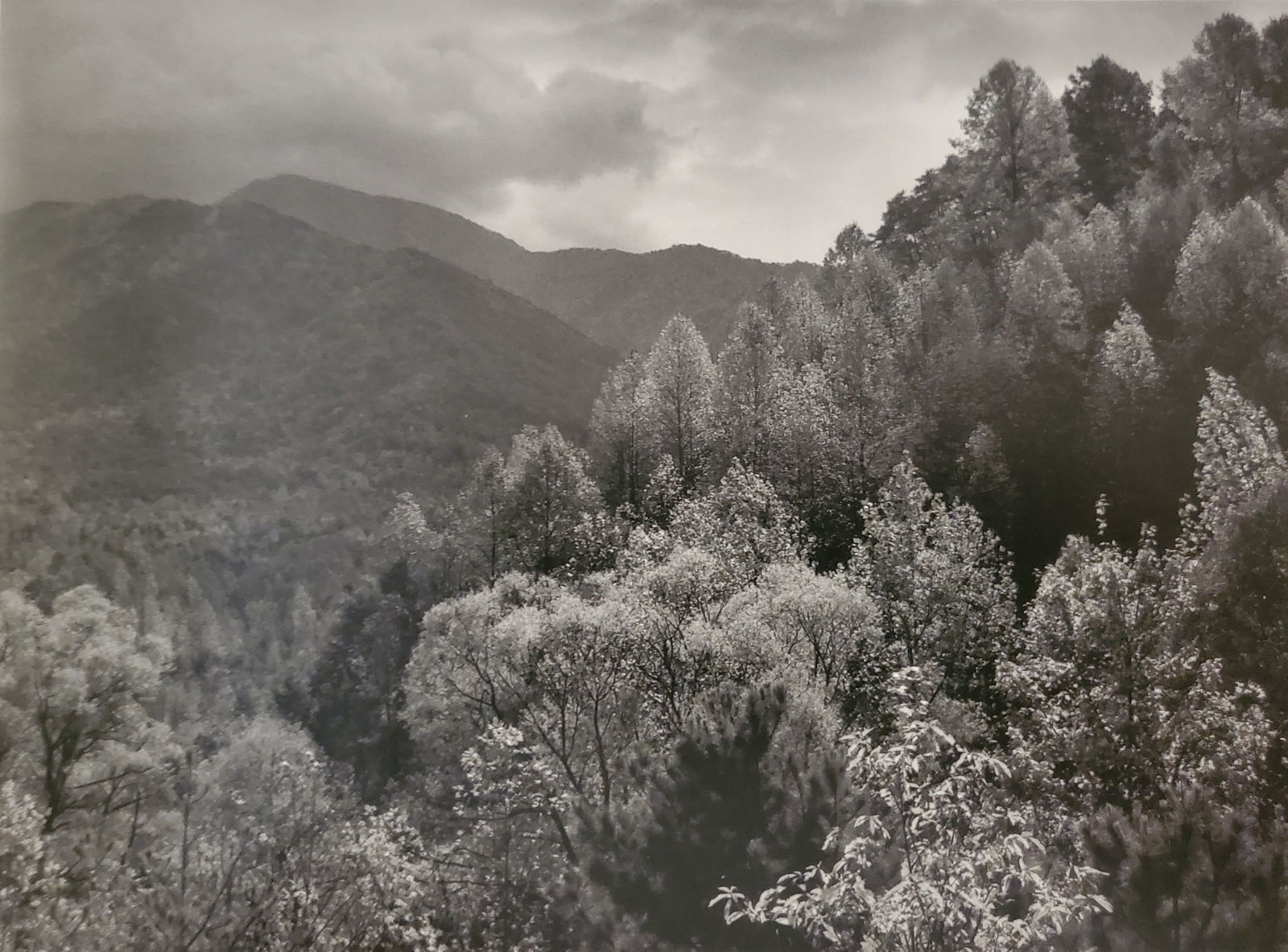 Ansel Adams, America's Nature, 2007 (1 of 1)