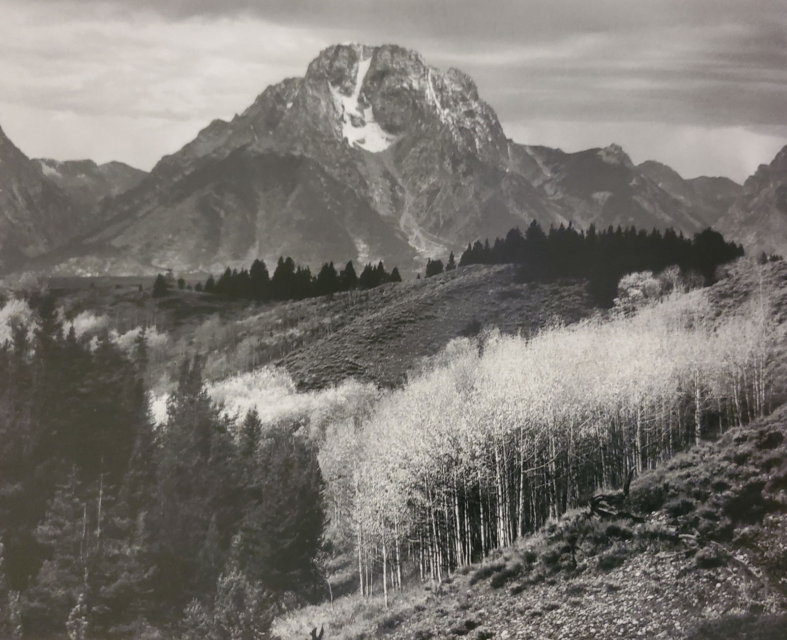 Ansel Adams, America's Nature, 2007 (1 of 1)