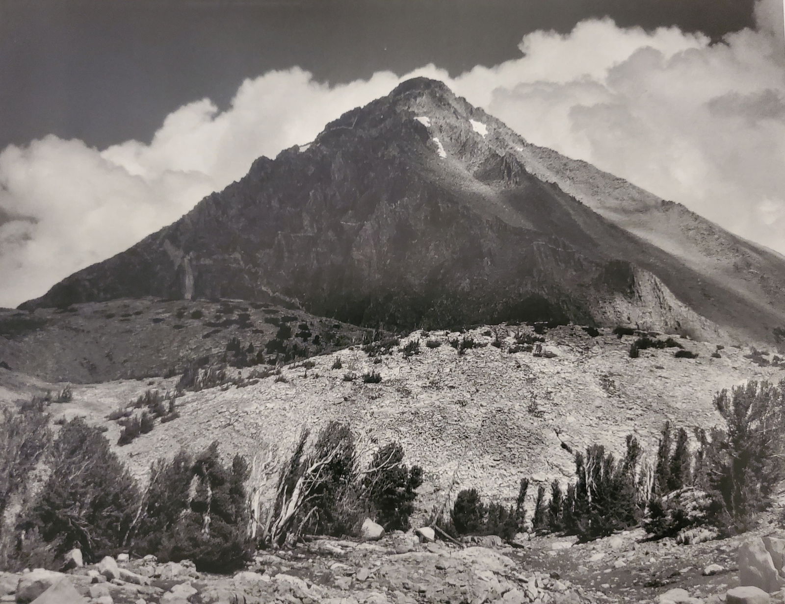 Ansel Adams, America's Nature, 2007 (1 of 1)
