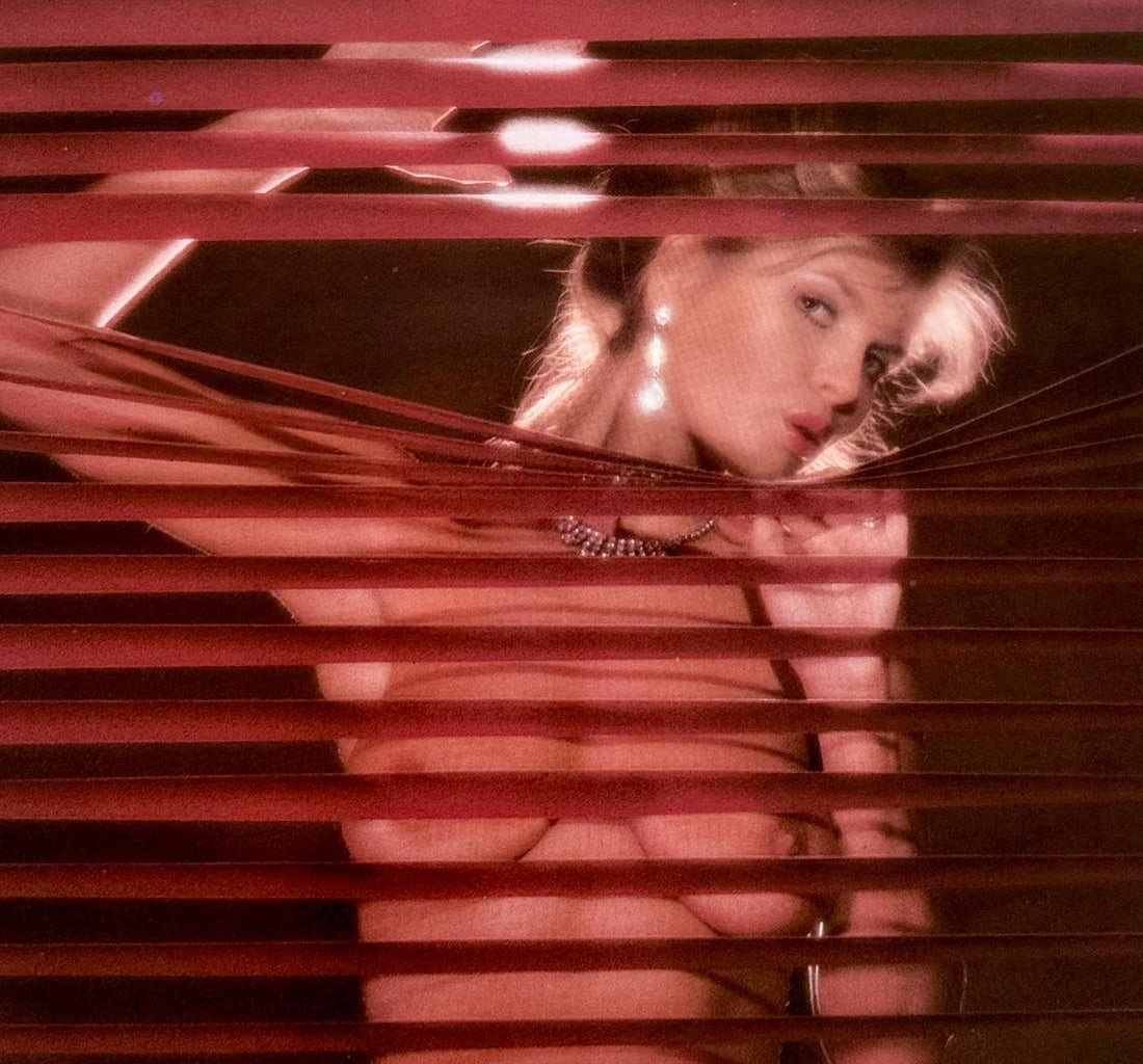 Top Model's of the 80's: Artist/Photographer: Various photogrphers Title/Subject: Top Model's of the 80's Type Of Print: Authentic Sheet Fed Photogravure/Heliogravure. Date Of Print: 1983 Paper: Medium weight, satin/matte fin