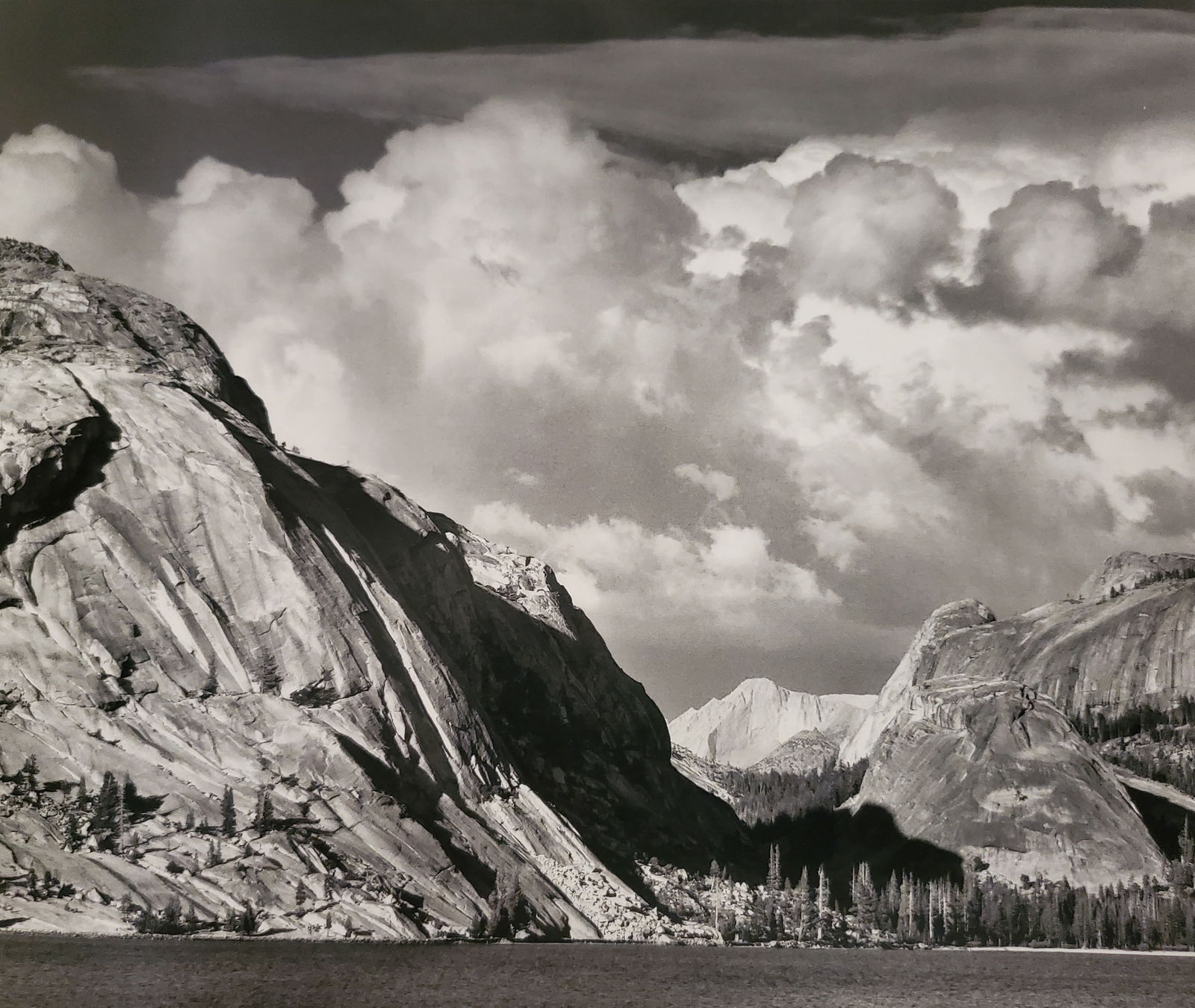 Ansel Adams, America's Nature, 2007 (1 of 1)