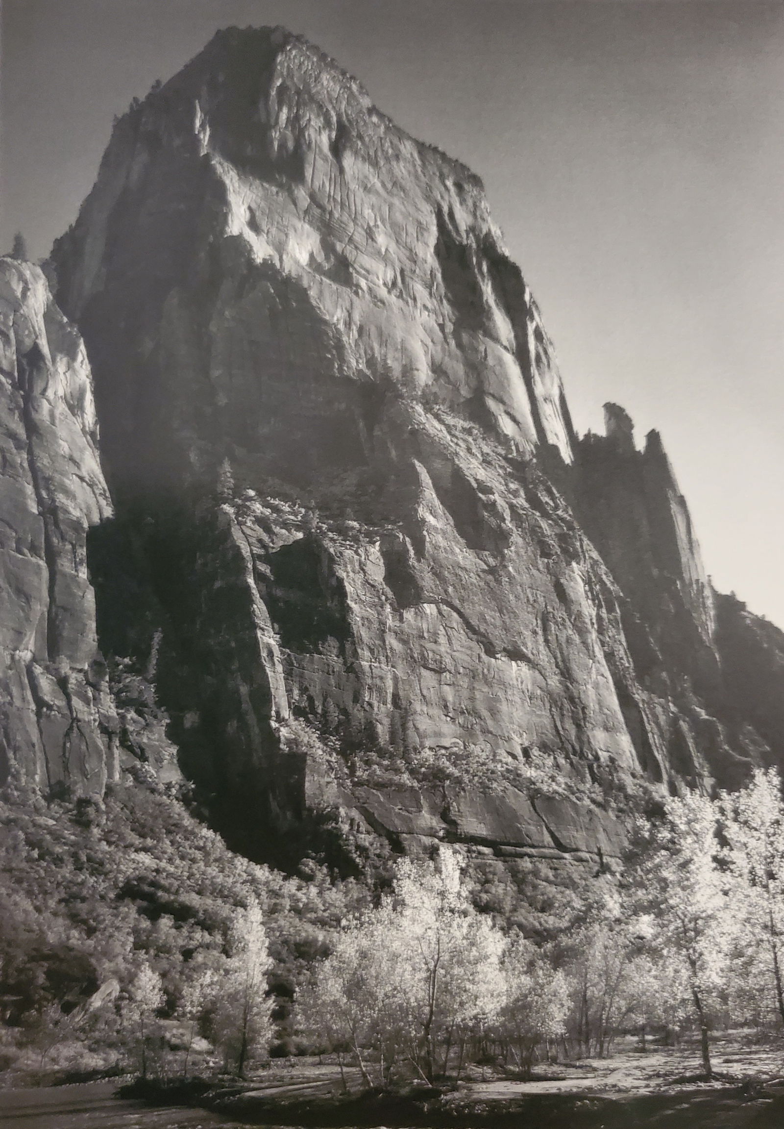 Ansel Adams, America's Nature, 2007 (1 of 1)