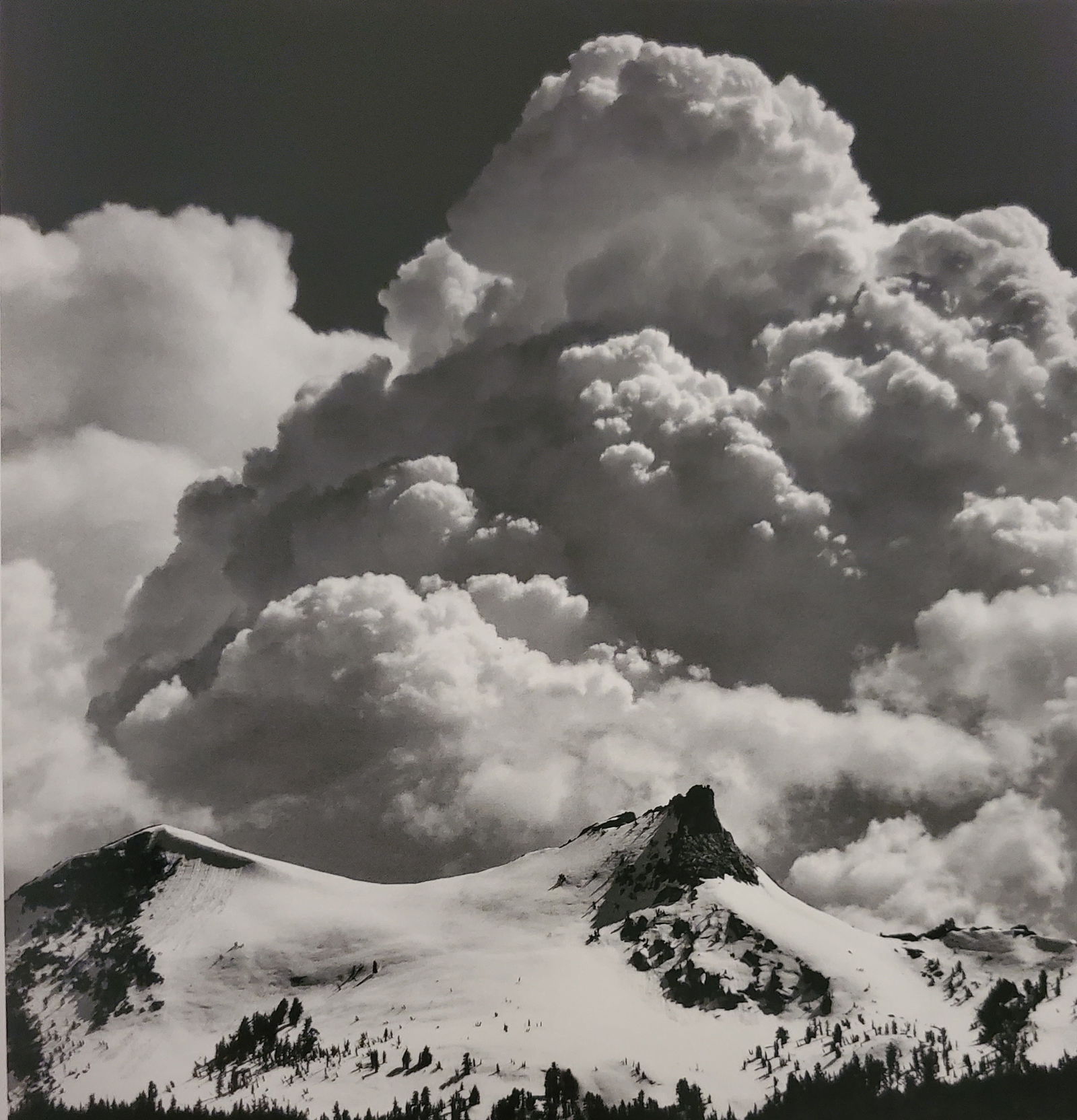 Ansel Adams, America's Nature, 2007 (1 of 1)