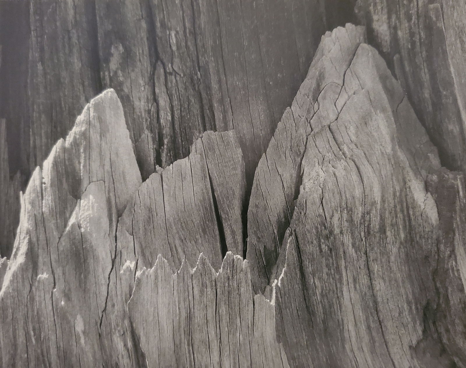 Ansel Adams, America's Nature, 2007: Photographer: Ansel Adams (American, 1902 - 1984) - Internationally renowned American photographer. One of the most influential artists in photographic history. Title: "America's Nature" Type Of Print