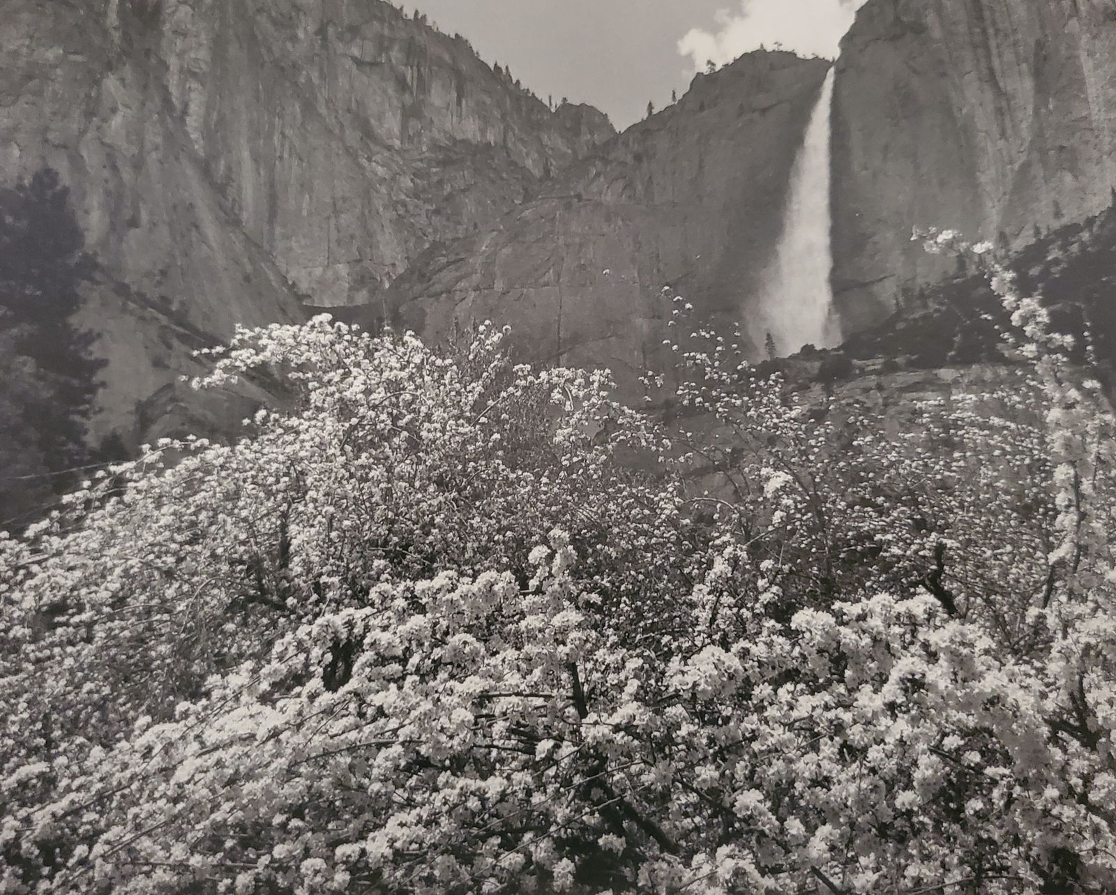 Ansel Adams, America's Nature, 2007 (1 of 1)