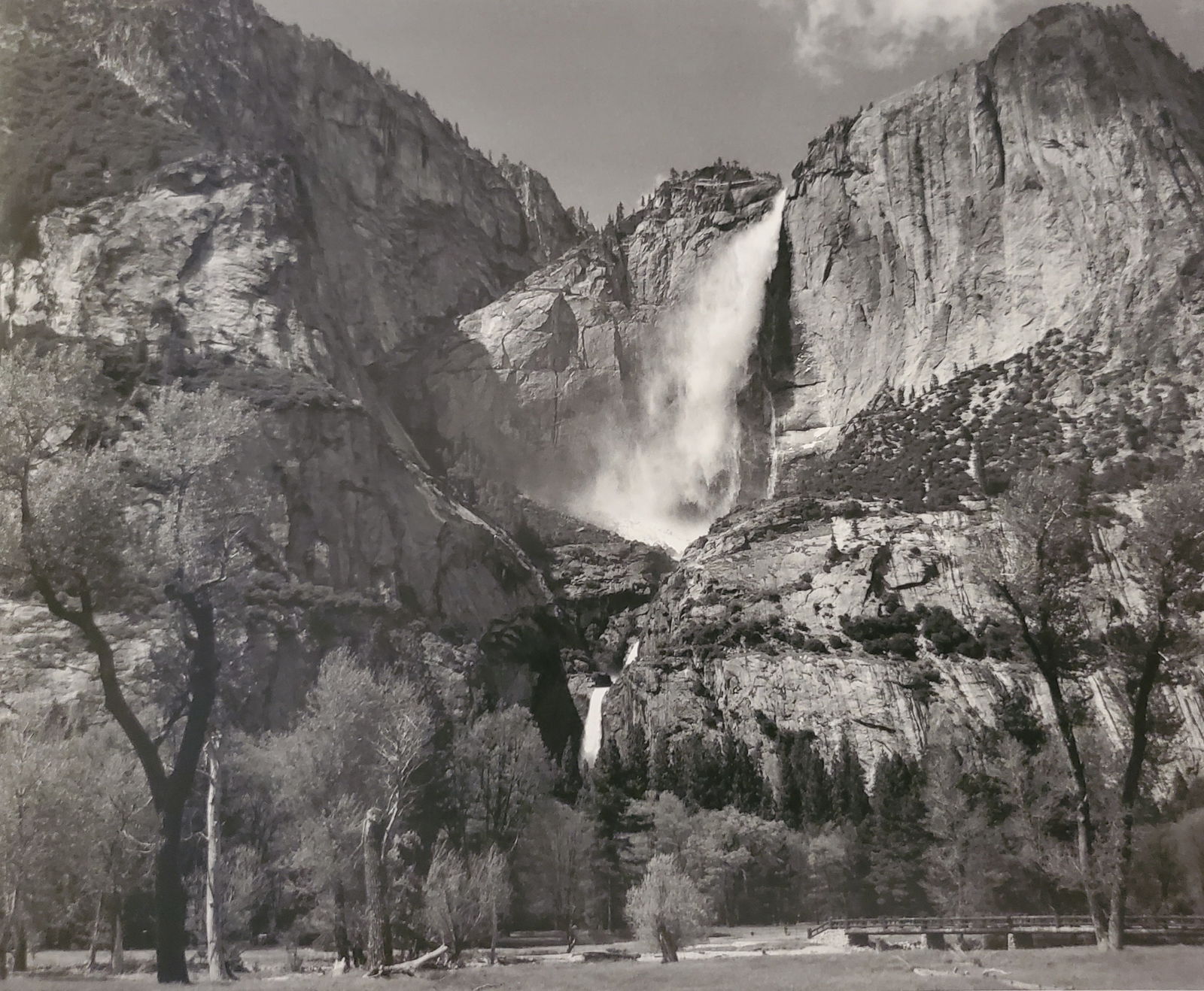 Ansel Adams, America's Nature, 2007 (1 of 1)