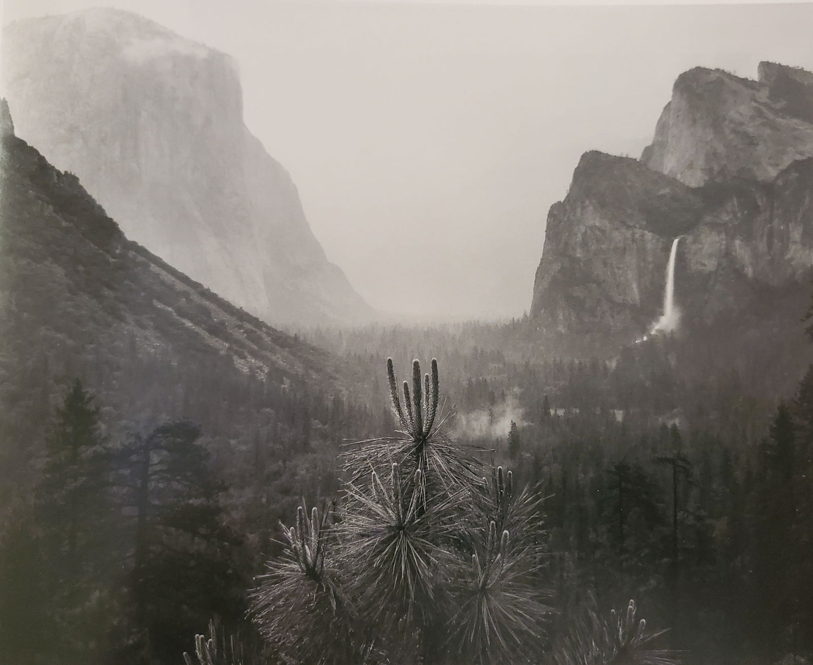 Ansel Adams, America's Nature, 2007 (1 of 1)