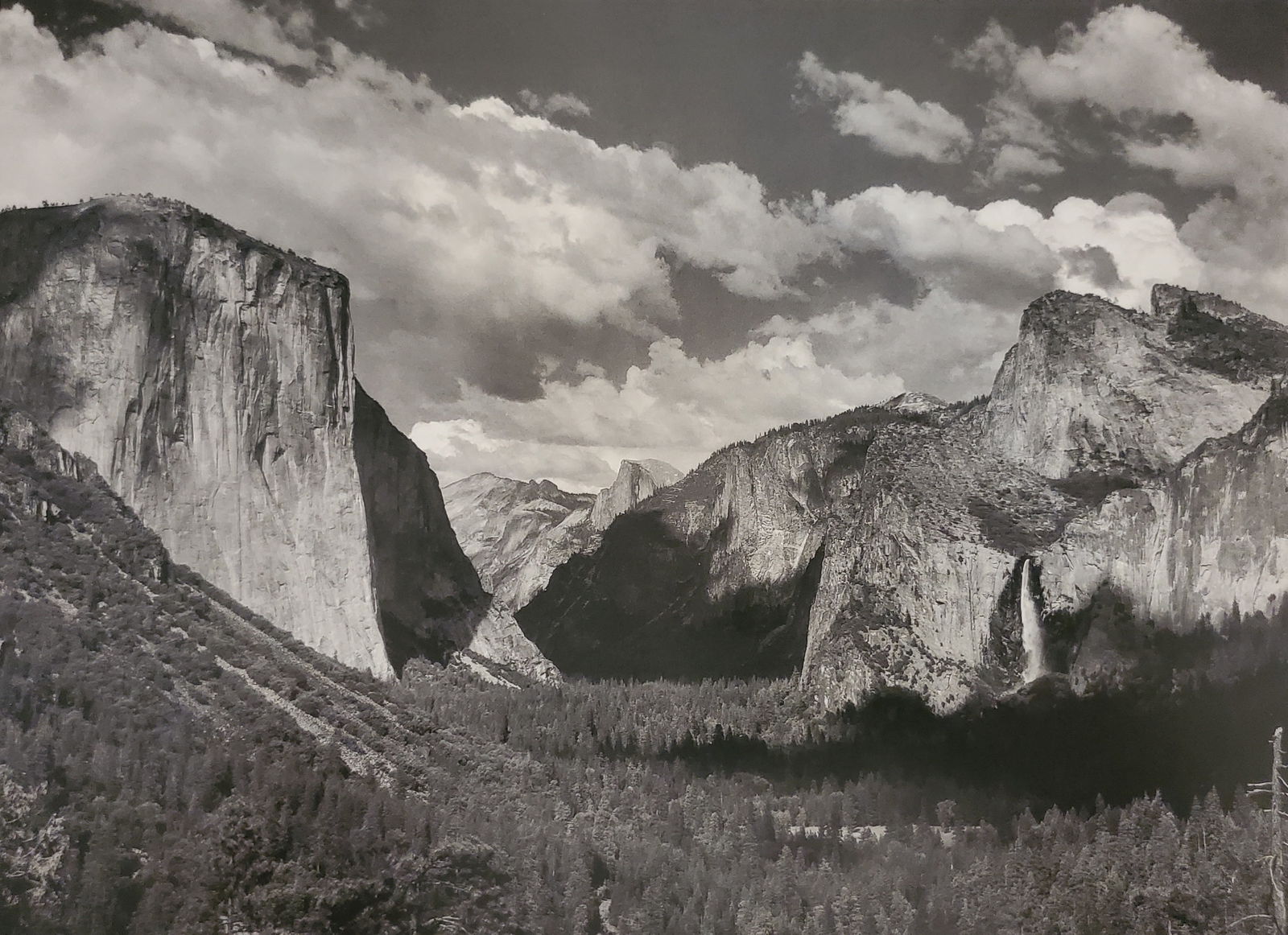 Ansel Adams, America's Nature, 2007 (1 of 1)
