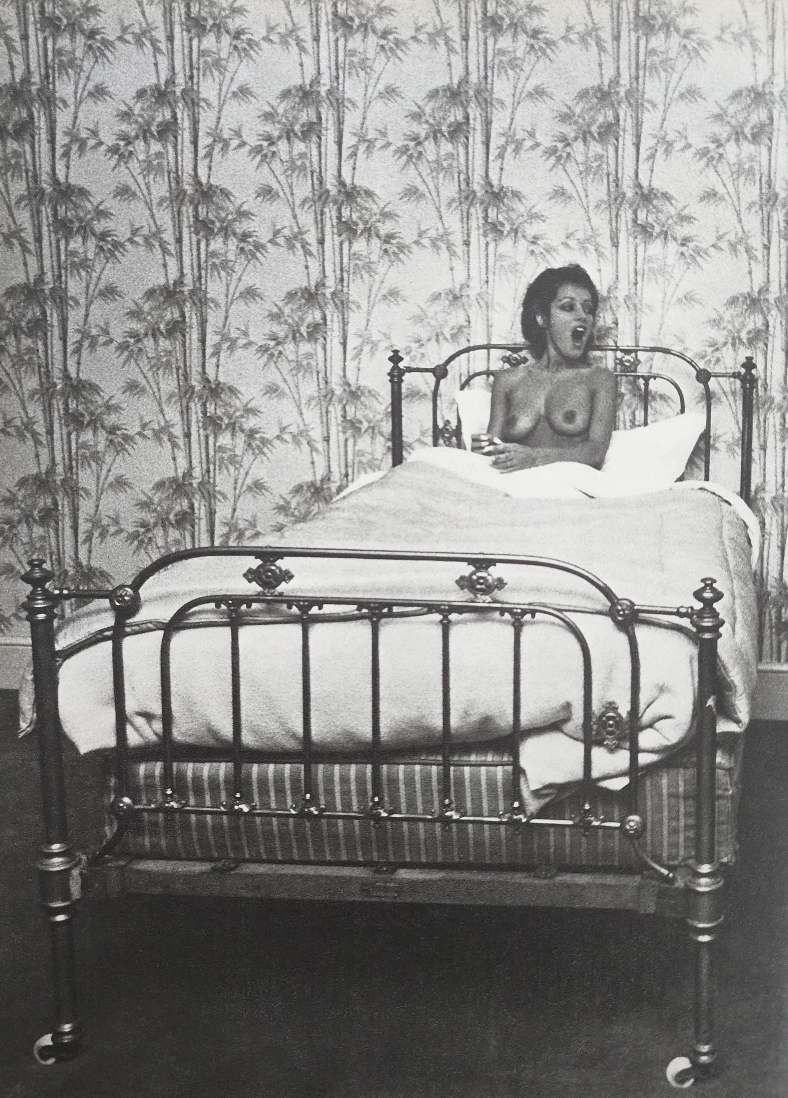 John Hedgecoe 'Possessions, Female Nude 1978: Artist/Photographer: John Hedgecoe Title/Subject: Possessions, Female Nude Type Of Print: Authentic Sheet Fed Photogravure/Heliogravure. Date Of Print: 1978 Paper: Medium weight, satin/matte finish. P