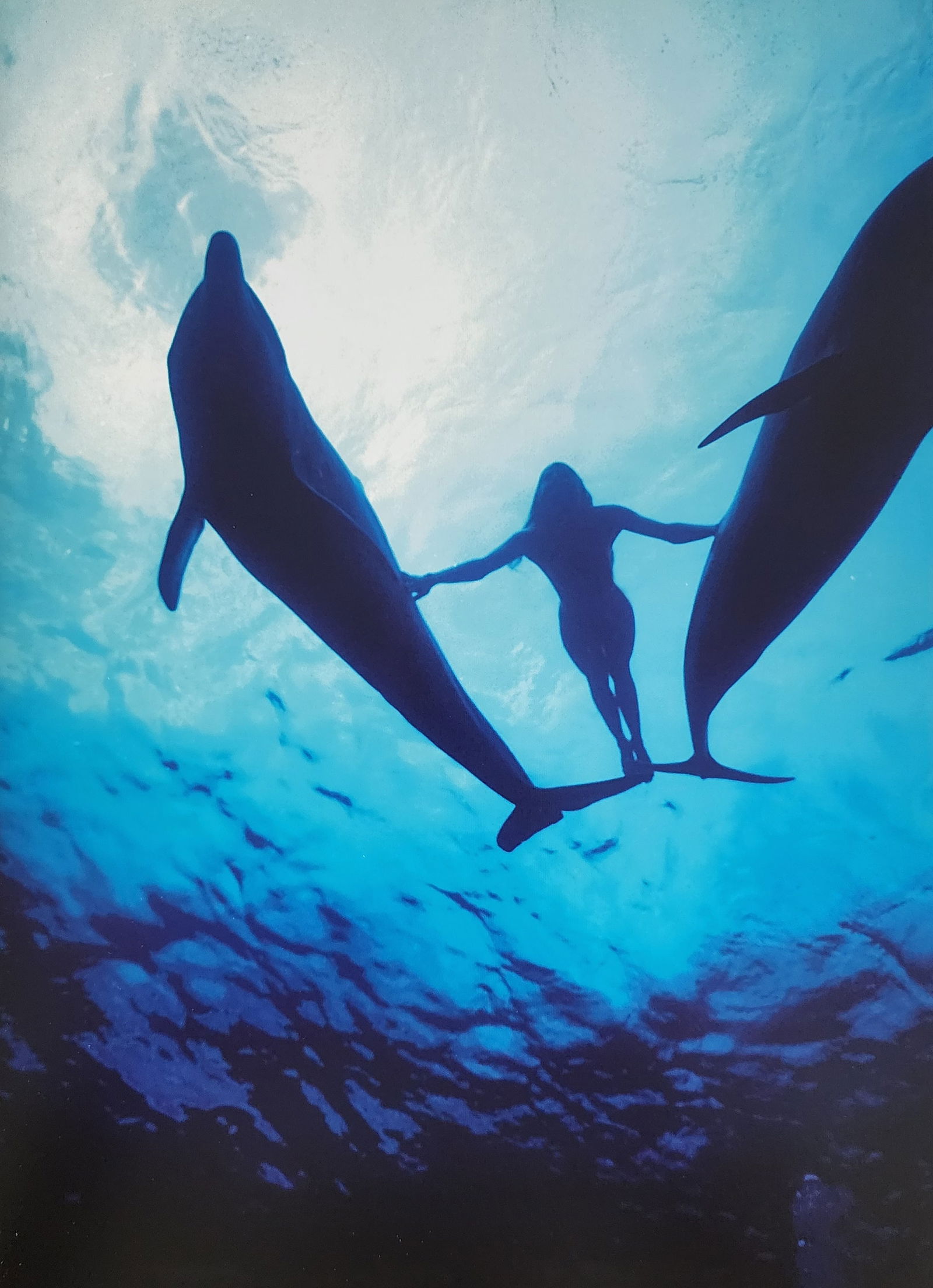 Russell James, Stunning, 2009 (1 of 1)