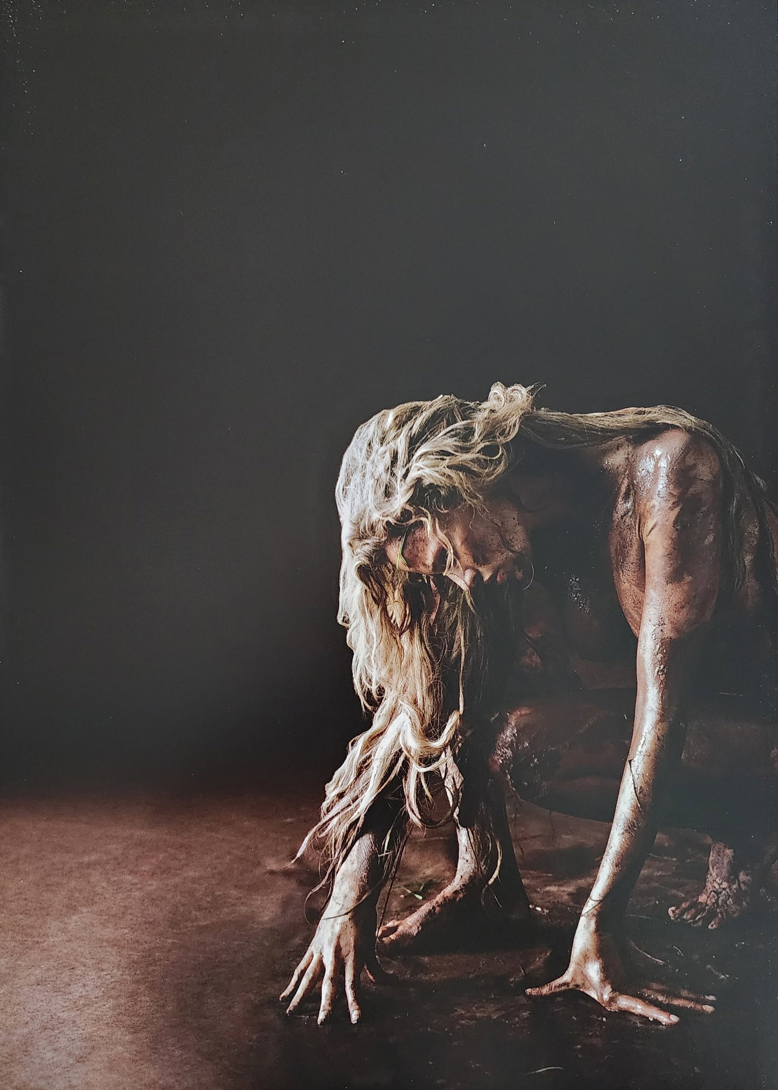 Russell James, Stunning, 2009 (1 of 1)