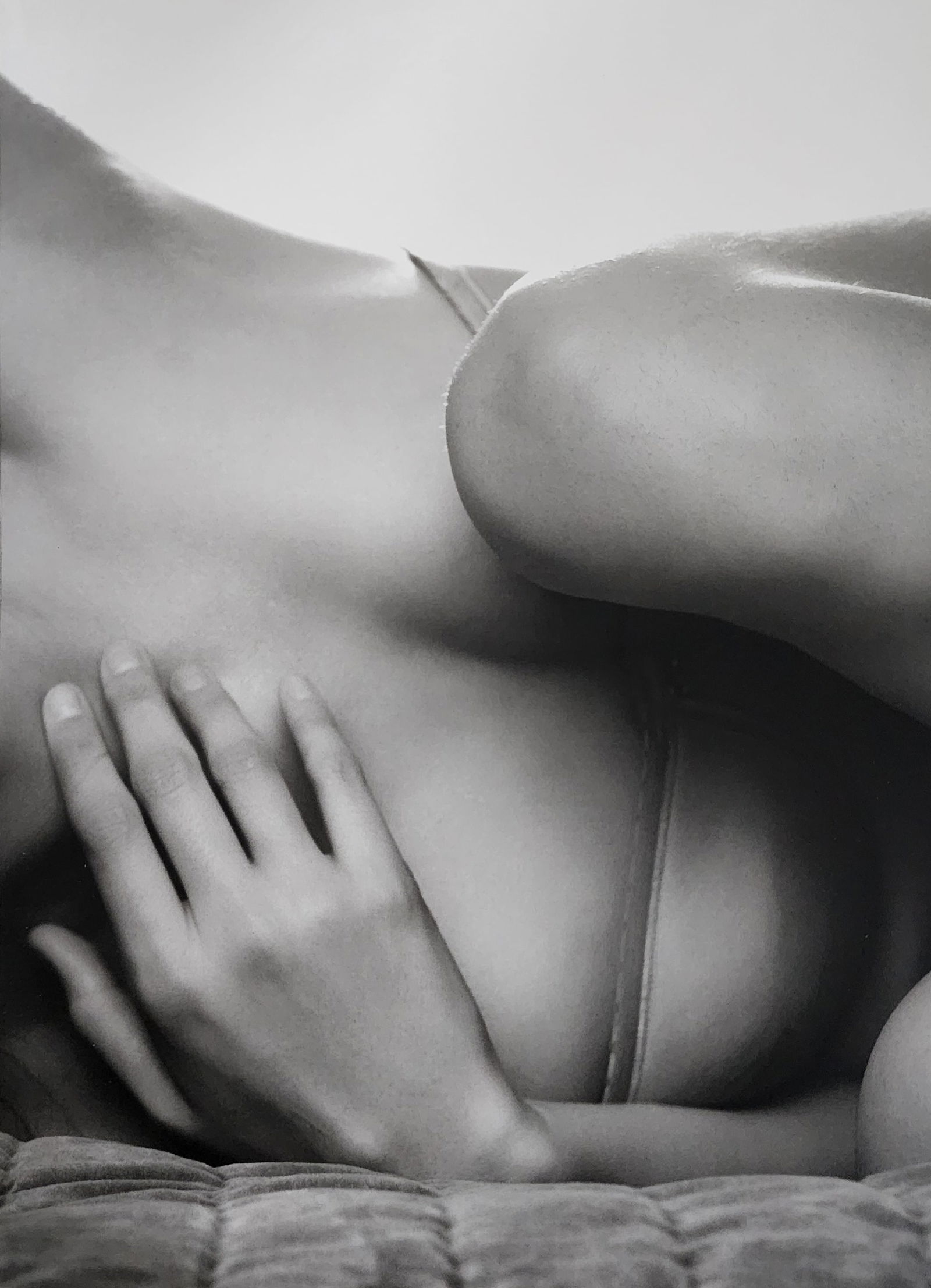 Russell James, Stunning, 2009 (1 of 1)