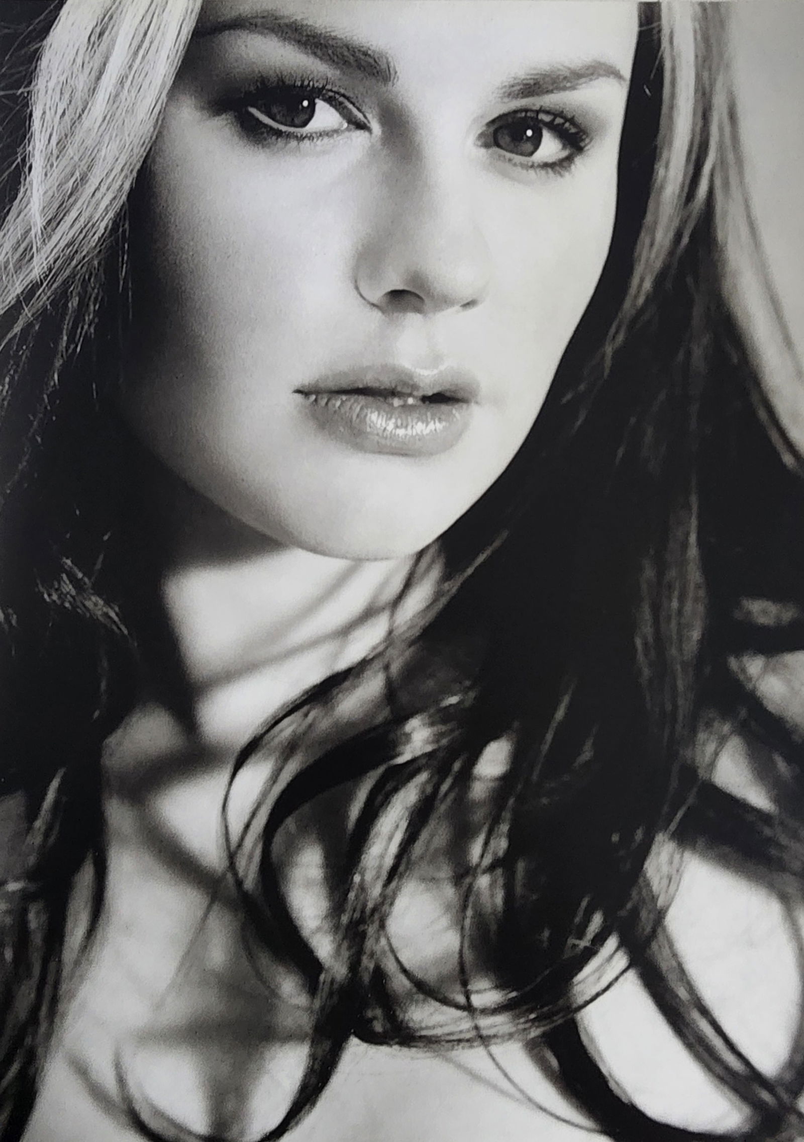 Russell James, Stunning, 2009 (1 of 1)