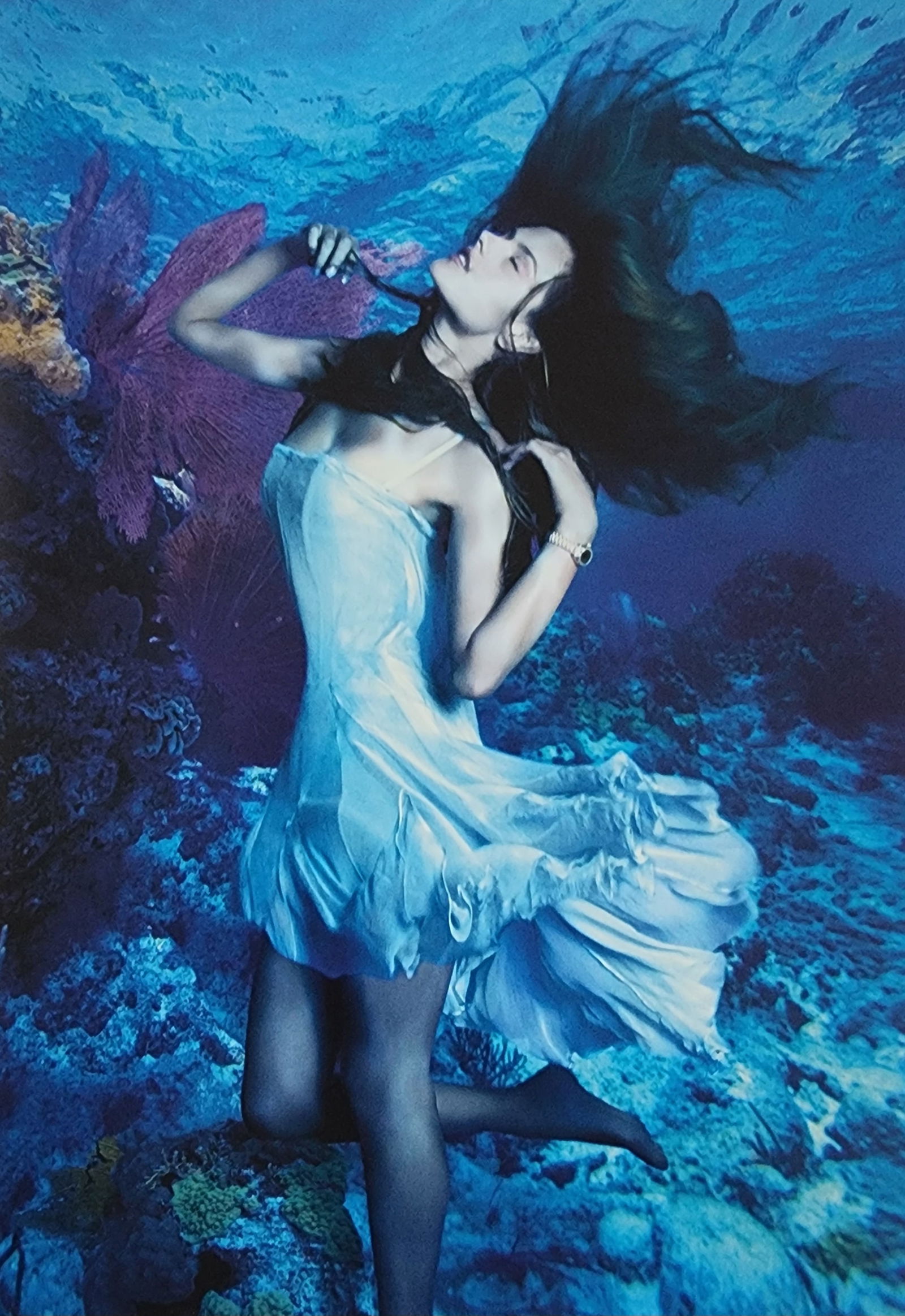 Russell James, Stunning, 2009: Artist/Photographer: Russell James Title/Subject: Stunning Type Of Print: Authentic Sheet Fed Photogravure/Heliogravure. Date Of Print: 2009 Paper: Medium weight, satin/matte finish. Print Origin: Bel