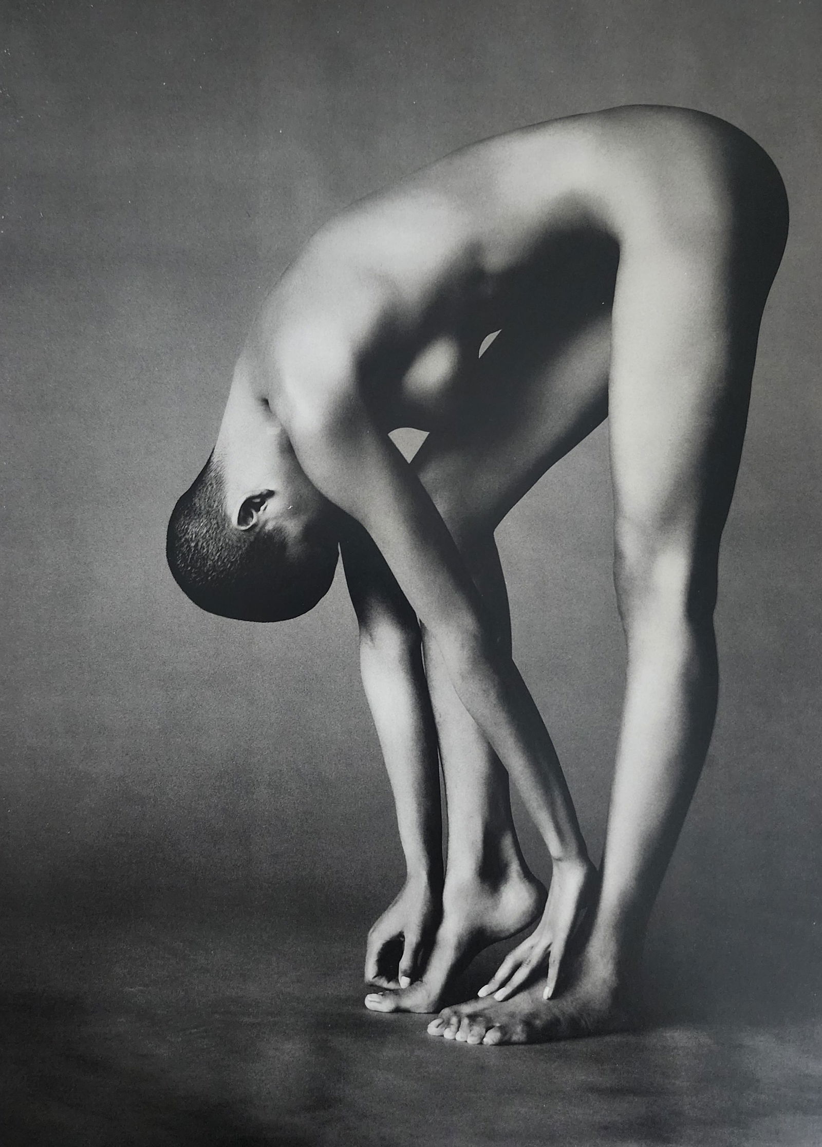 Russell James, Stunning, 2009 (1 of 1)