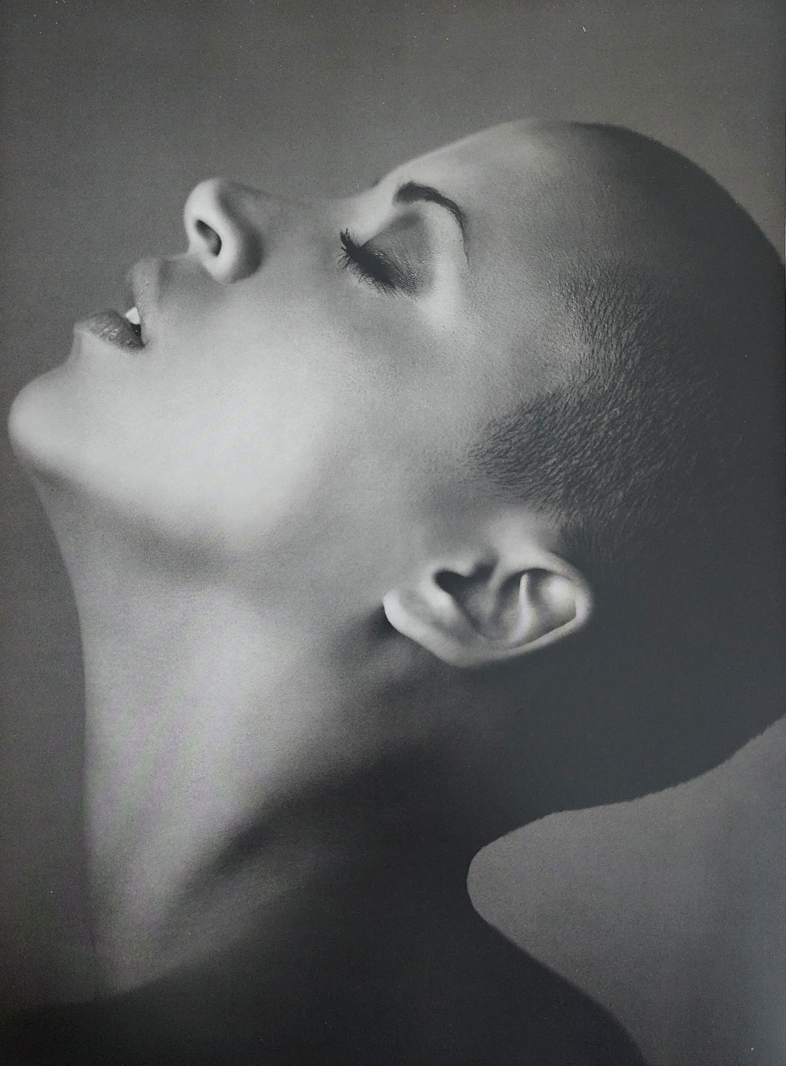 Russell James, Stunning, 2009 (1 of 1)