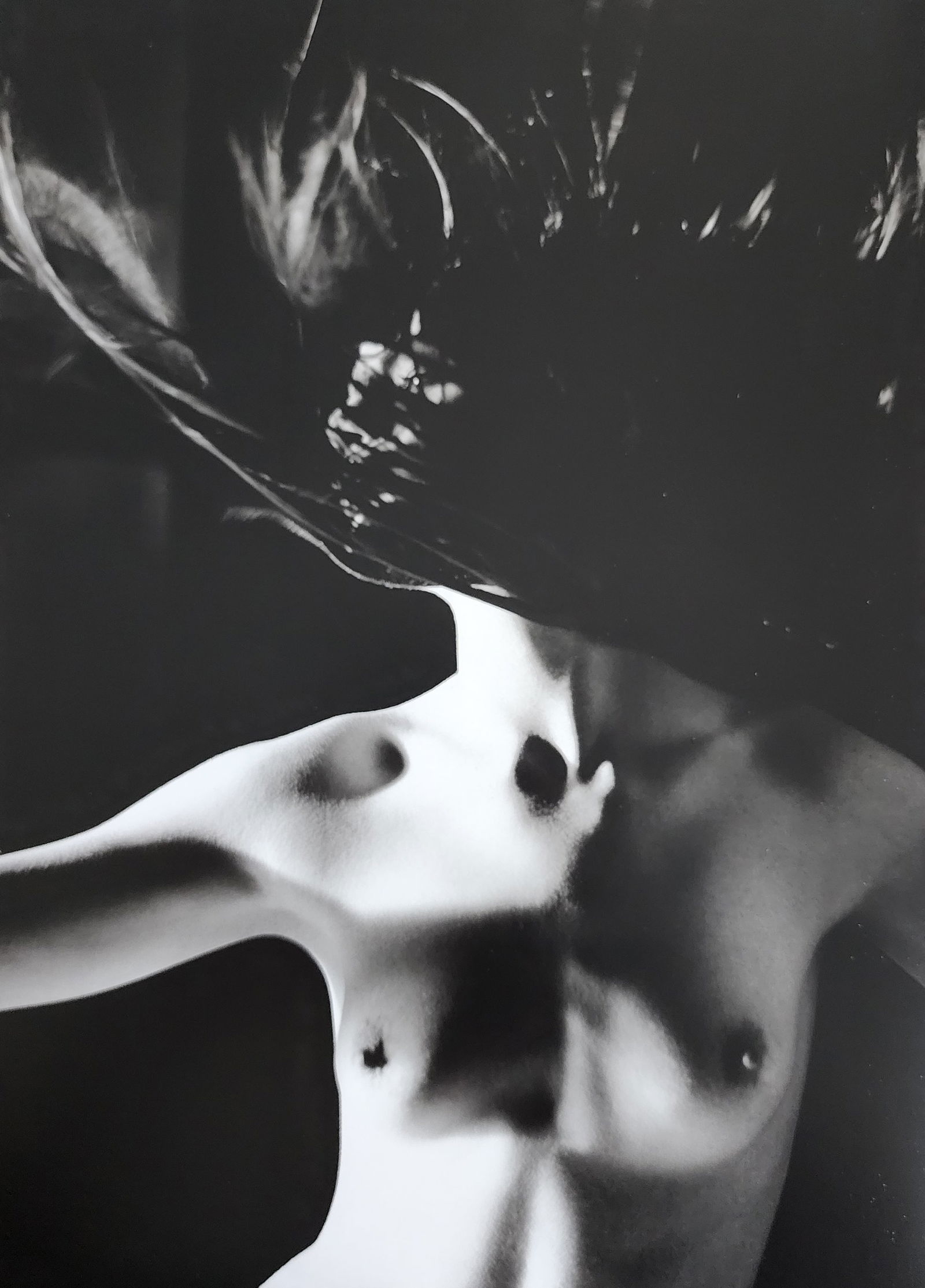 Russell James, Stunning, 2009 (1 of 1)