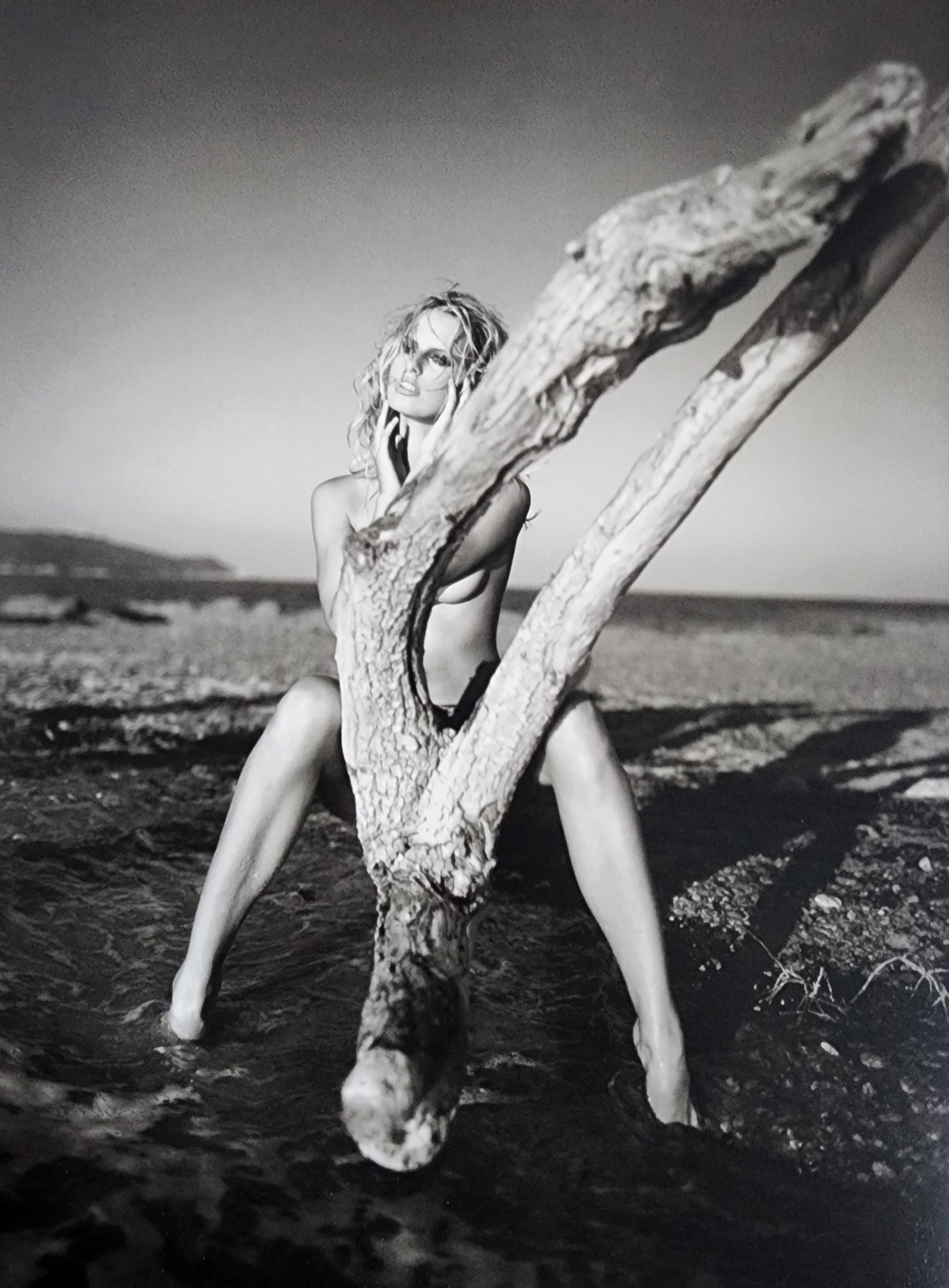 Russell James, Stunning, 2009: Artist/Photographer: Russell James Title/Subject: Stunning Type Of Print: Authentic Sheet Fed Photogravure/Heliogravure. Date Of Print: 2009 Paper: Medium weight, satin/matte finish. Print Origin: Bel