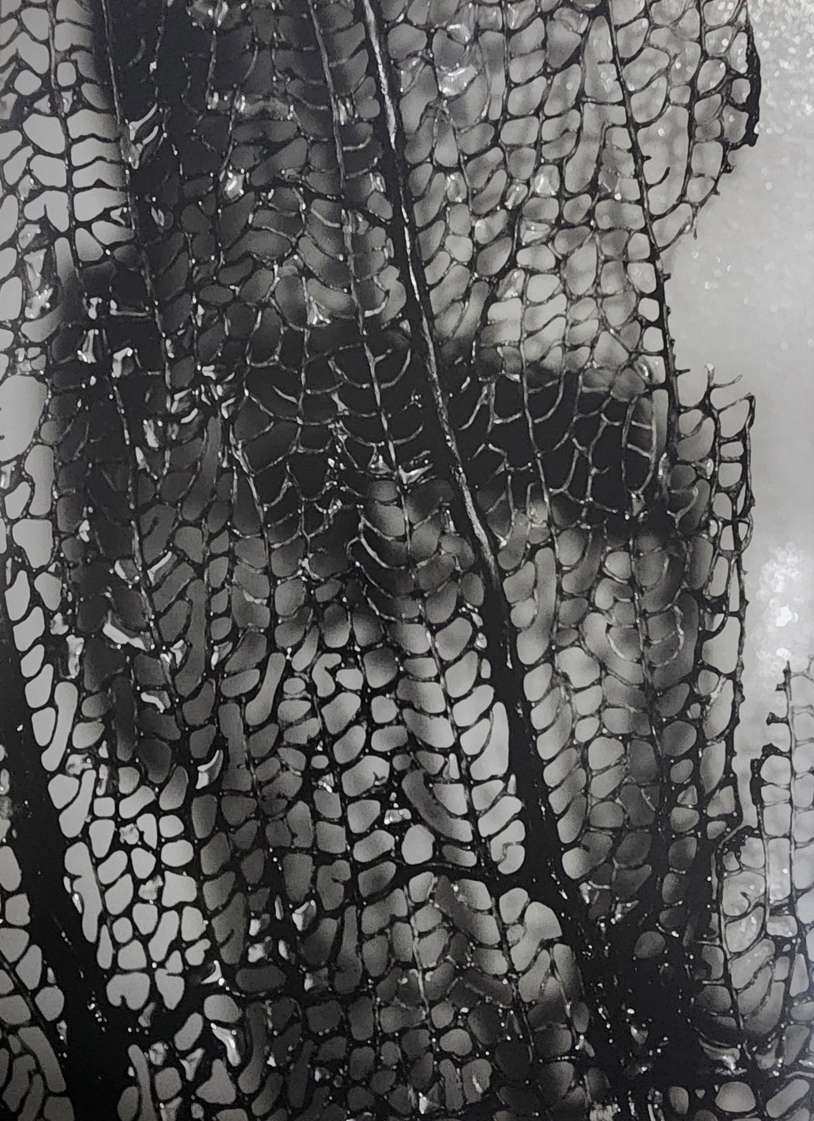 Russell James, Stunning, 2009 (1 of 1)