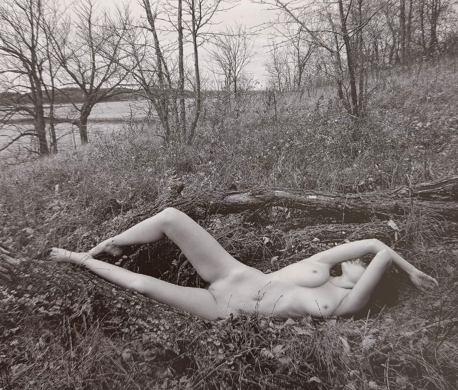 Beauty of Minnesota, 2012 (1 of 1)