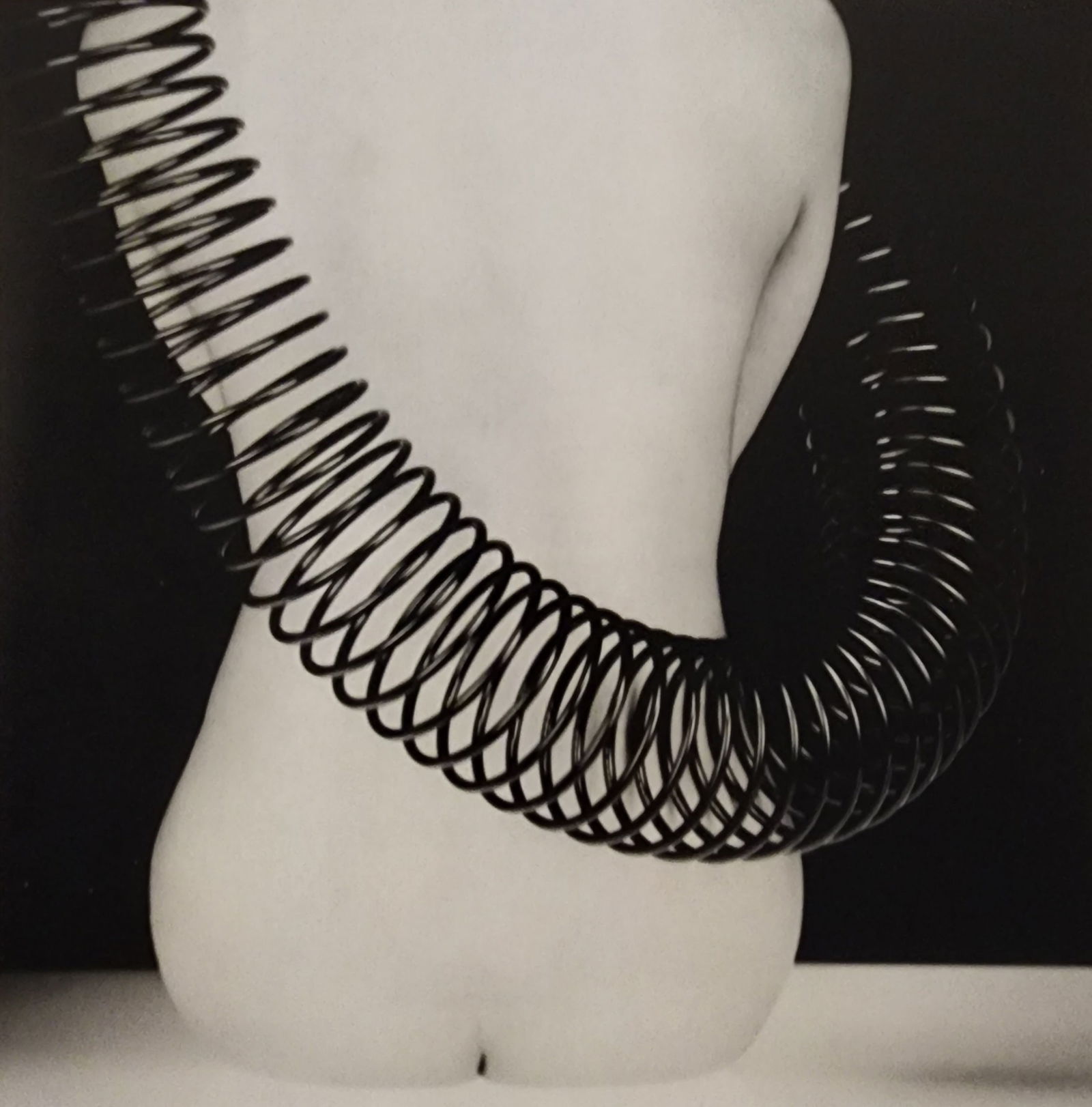 Hideki Fujii, Masterful Boudoir, 1992: Artist/Photographer: Hideki Fujii Title/Subject: Master Nudes, 1992 Condition: Extra Fine - Excellent Type Of Print: Authentic Sheet Fed Photogravure/Heliogravure Paper: Medium weight, satin/matte fin