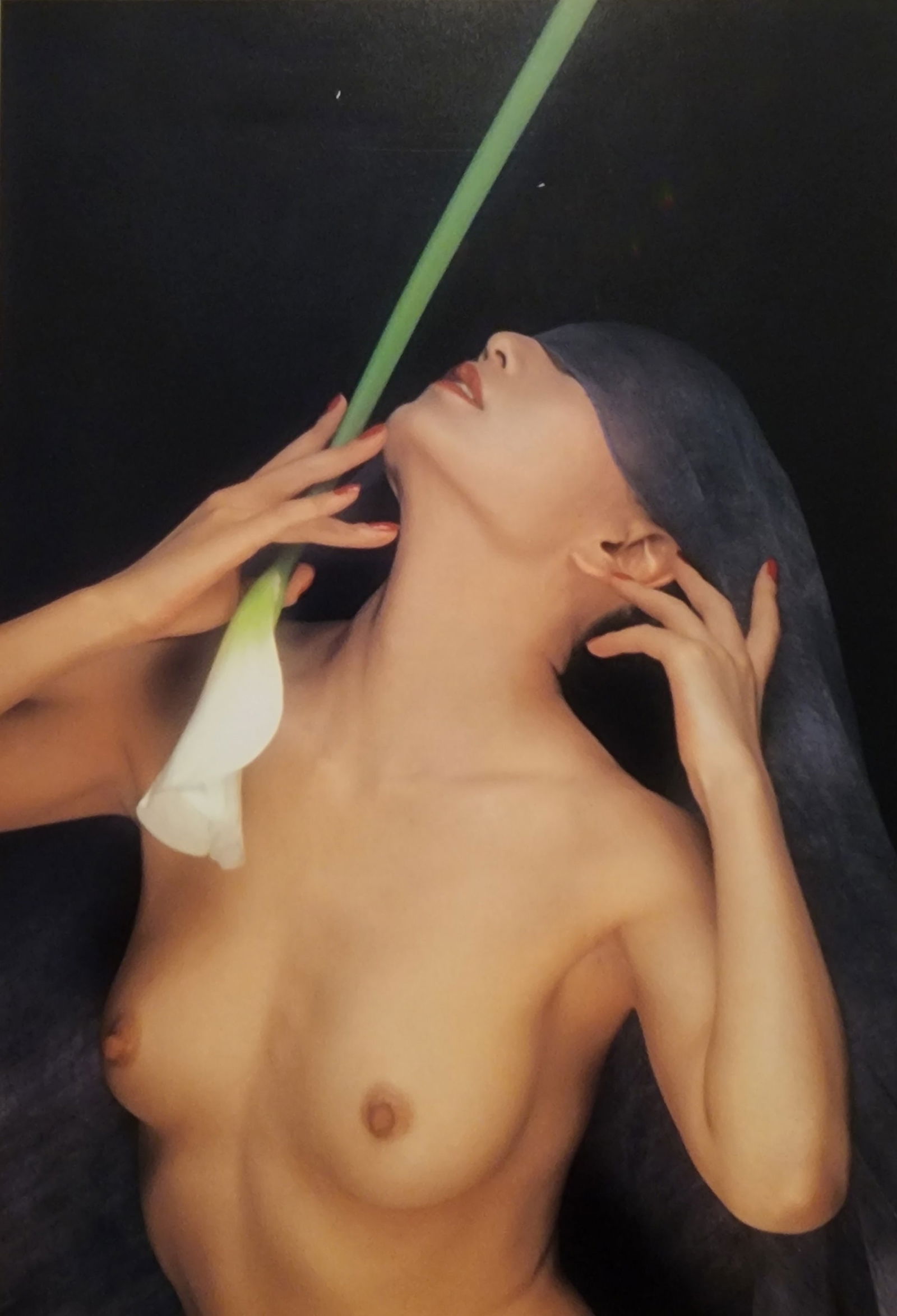 Hideki Fujii, Masterful Boudoir, 1992: Artist/Photographer: Hideki Fujii Title/Subject: Master Nudes, 1992 Condition: Extra Fine - Excellent Type Of Print: Authentic Sheet Fed Photogravure/Heliogravure Paper: Medium weight, satin/matte fin