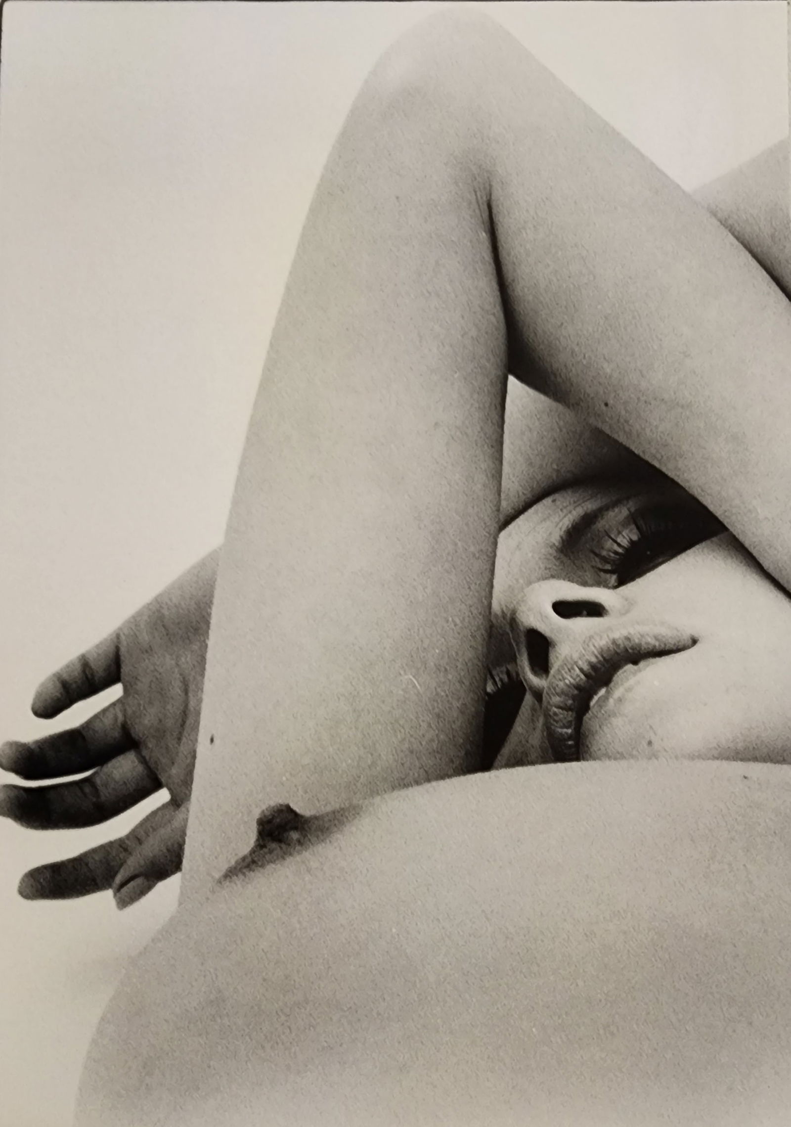 Hideki Fujii, Masterful Boudoir, 1992: Artist/Photographer: Hideki Fujii Title/Subject: Master Nudes, 1992 Condition: Extra Fine - Excellent Type Of Print: Authentic Sheet Fed Photogravure/Heliogravure Paper: Medium weight, satin/matte fin