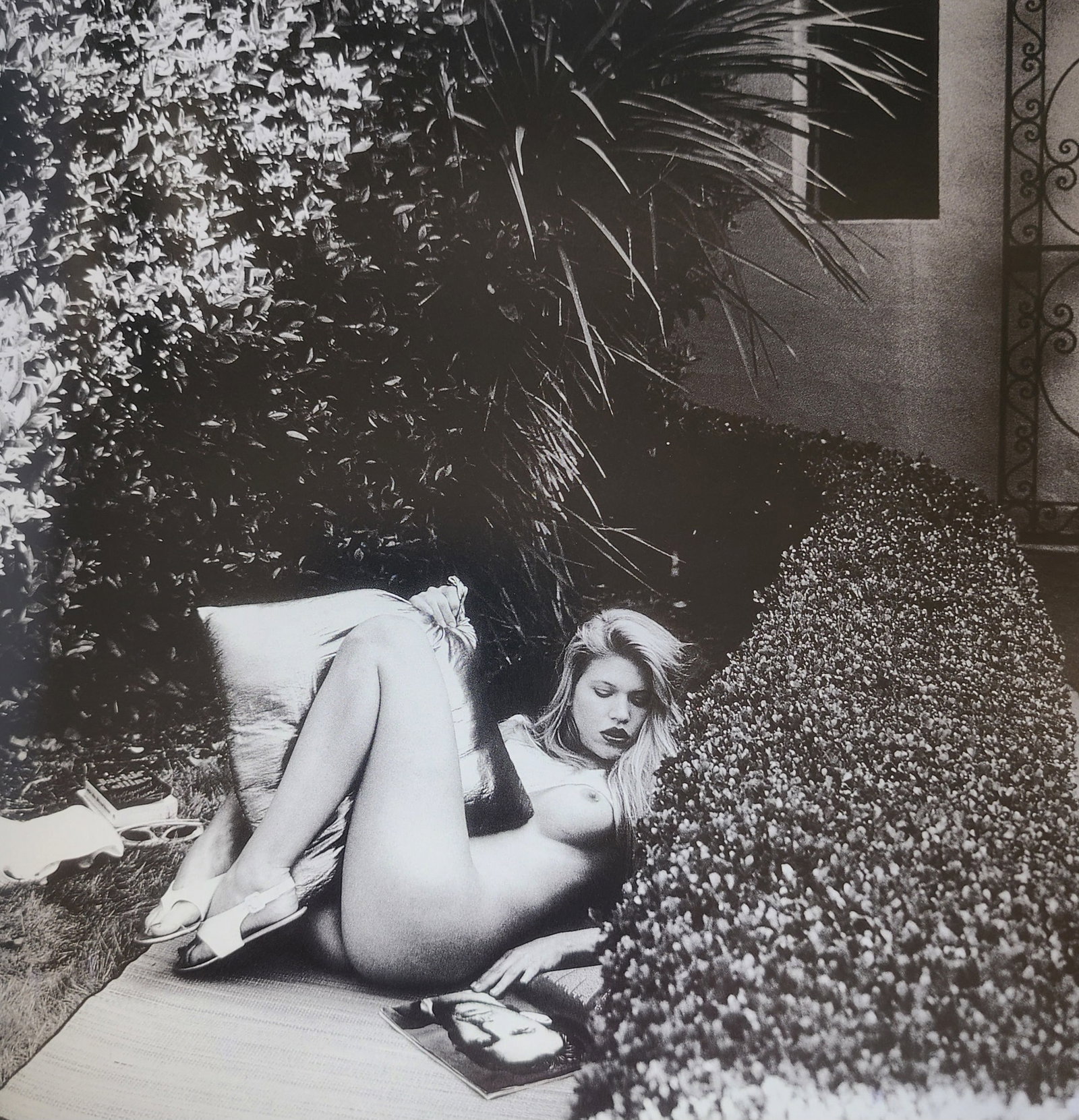 Helmut Newton, Erotica 2005: Photographer: Helmut Newton (Germany, 1920 - 2004) - best known for his erotically charged highly stylized images, Helmut Newton was one of the most influential fashion photographers of all time. Titl