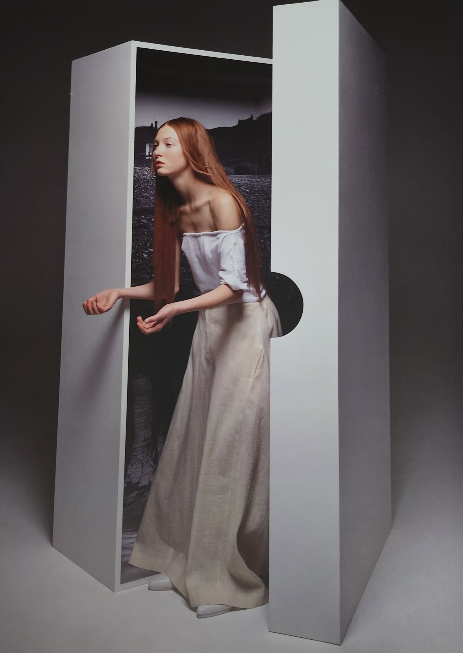 Inez van Lamsweerde & Vinoodh, Beautiful life, 2000: Photographer: Inez van Lamsweerde & Vinoodh Matadin Title/Subject: Beautiful life Date Of Negative: 2000 Type Of Print: Authentic Sheet Fed Photogravure/Heliogravure. Date Of Print: 2009 Paper: Medium