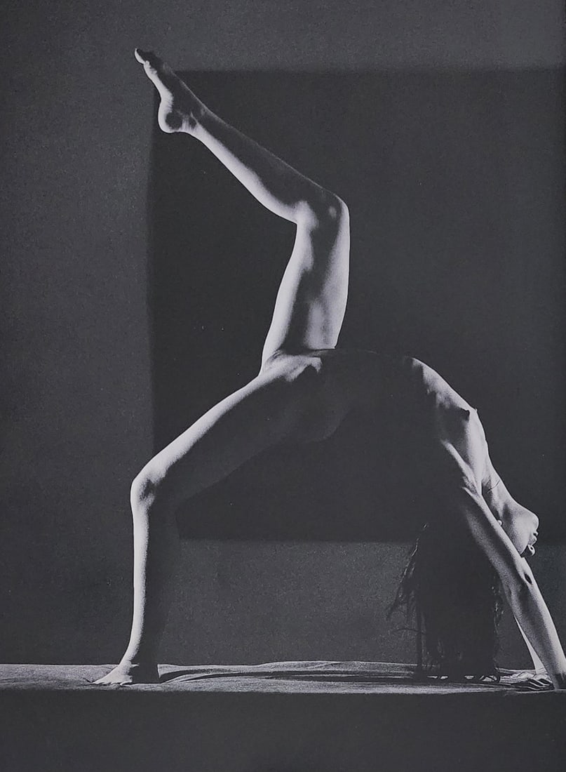 Alina Reyes, Nudes Female Model - 2005: Artist/Photographer: Alina Reyes Title/Subject: Nudes Female Model Type Of Print: Authentic Sheet Fed Photogravure/Heliogravure. Date Of Print: 2005 Paper: Medium weight, satin/matte finish. Print Ori