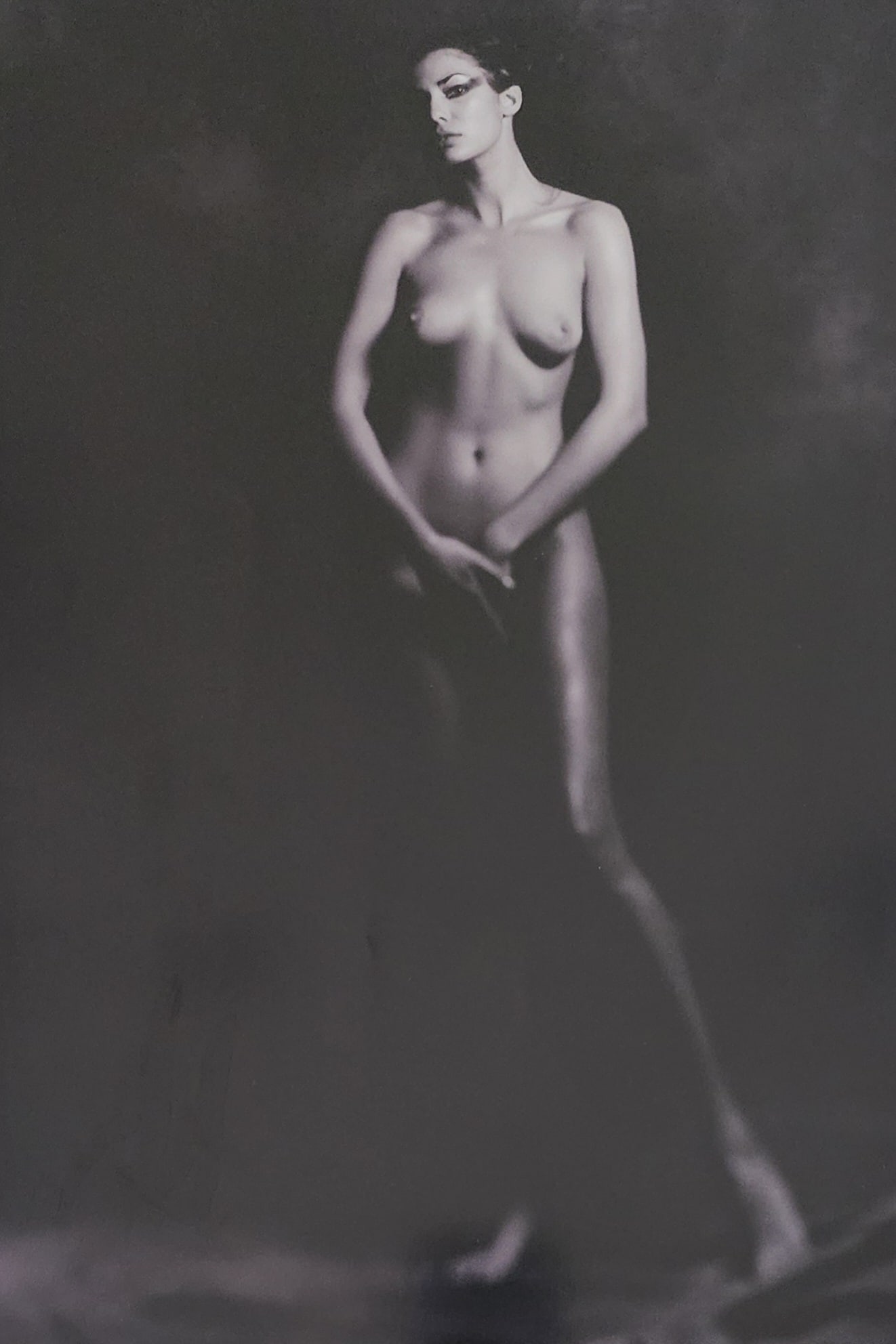 Alina Reyes, Nudes Female Model - 2005: Artist/Photographer: Alina Reyes Title/Subject: Nudes Female Model Type Of Print: Authentic Sheet Fed Photogravure/Heliogravure. Date Of Print: 2005 Paper: Medium weight, satin/matte finish. Print Ori