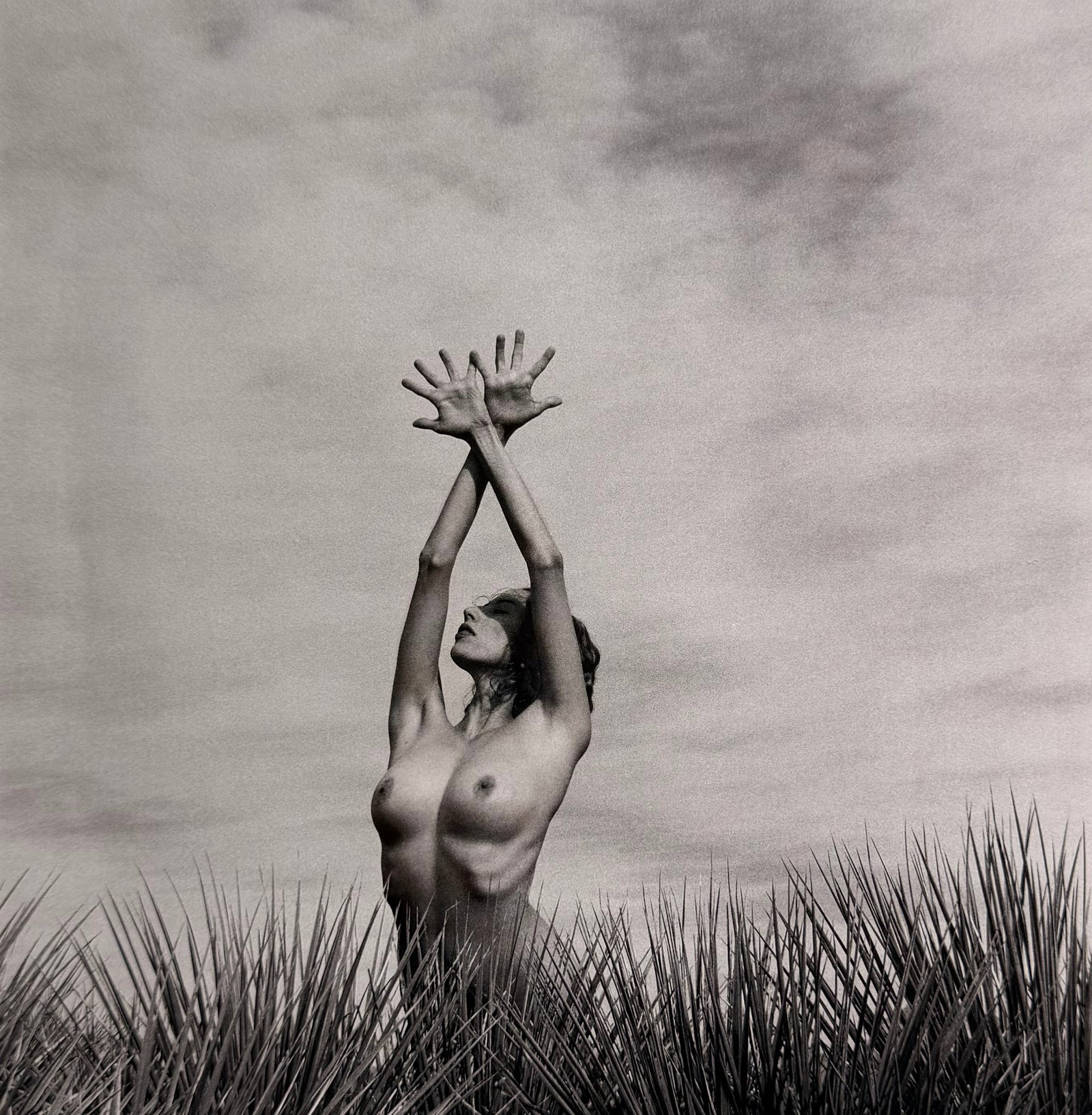 Allen Birnbach, Best nude contemporary, 2019: Artist/Photographer: Allen Birnbach Title/Subject: , Best nude contemporary Type Of Print: Authentic Sheet Fed Photogravure/Heliogravure. Date Of Print: 2019 Paper: Medium weight, satin/matte finish.