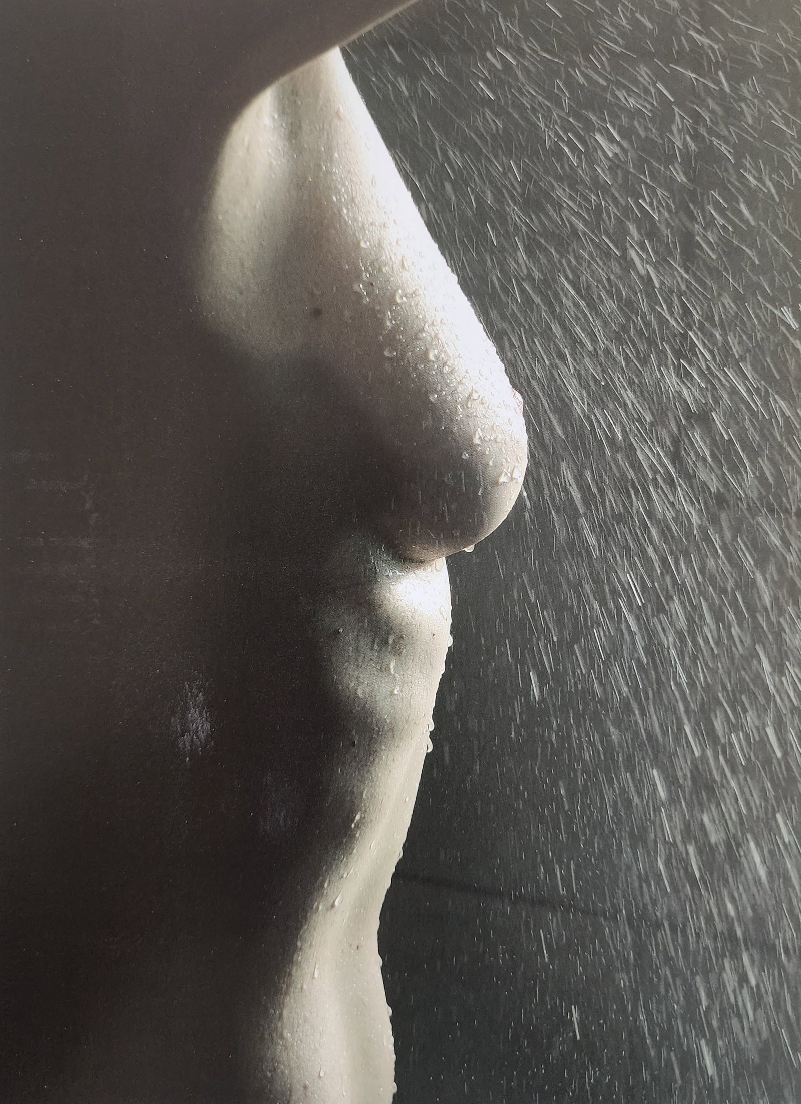 Nude Portraits, 2004: Artist/Photographer: Various photogrphers Title/Subject: Nude Portraits Type Of Print: Authentic Sheet Fed Photogravure/Heliogravure. Date Of Print: 2004 Paper: Medium weight, satin/matte finish. Prin