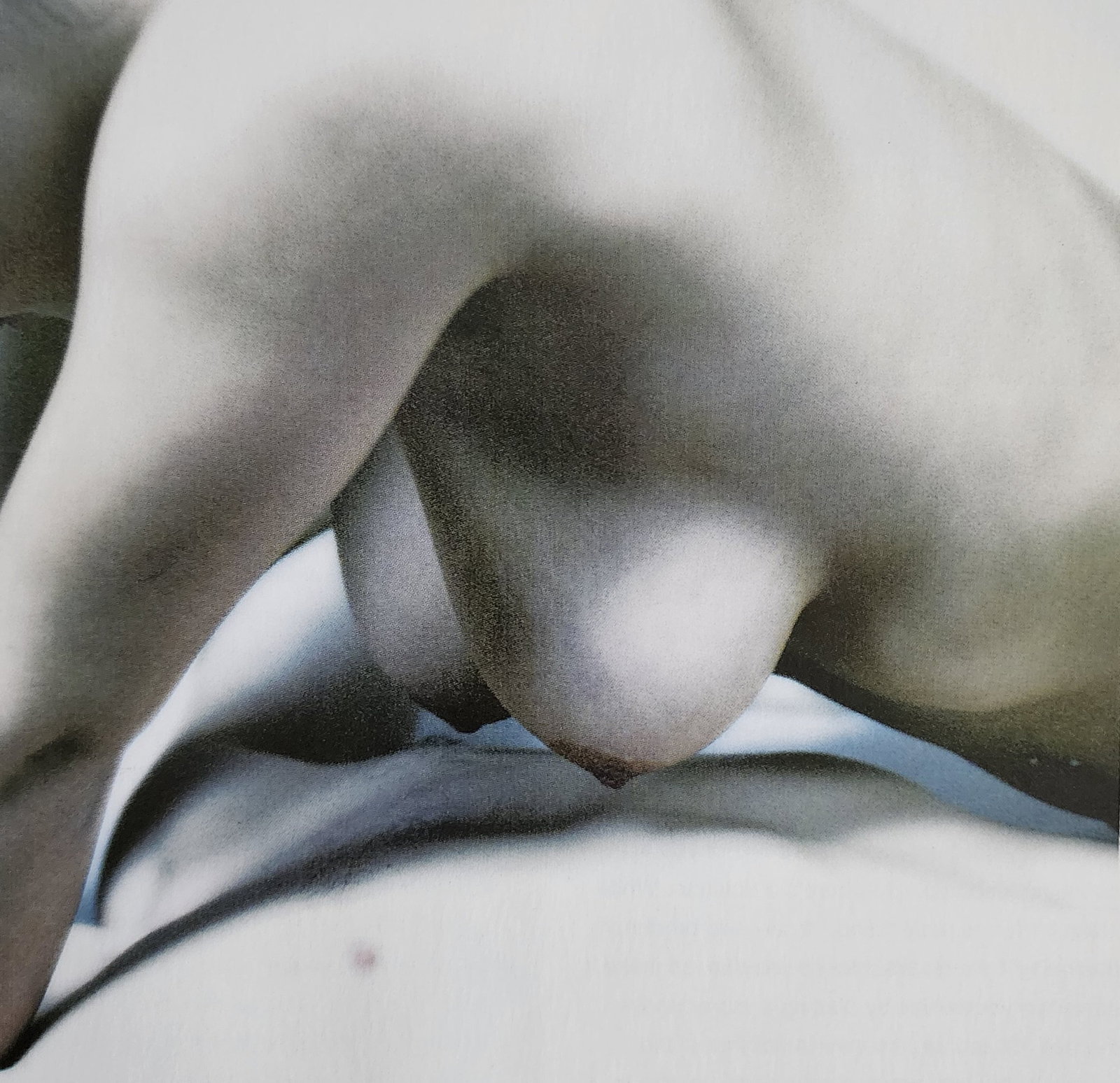 Nude Portraits, 2004: Artist/Photographer: Various photogrphers Title/Subject: Nude Portraits Type Of Print: Authentic Sheet Fed Photogravure/Heliogravure. Date Of Print: 2004 Paper: Medium weight, satin/matte finish. Prin