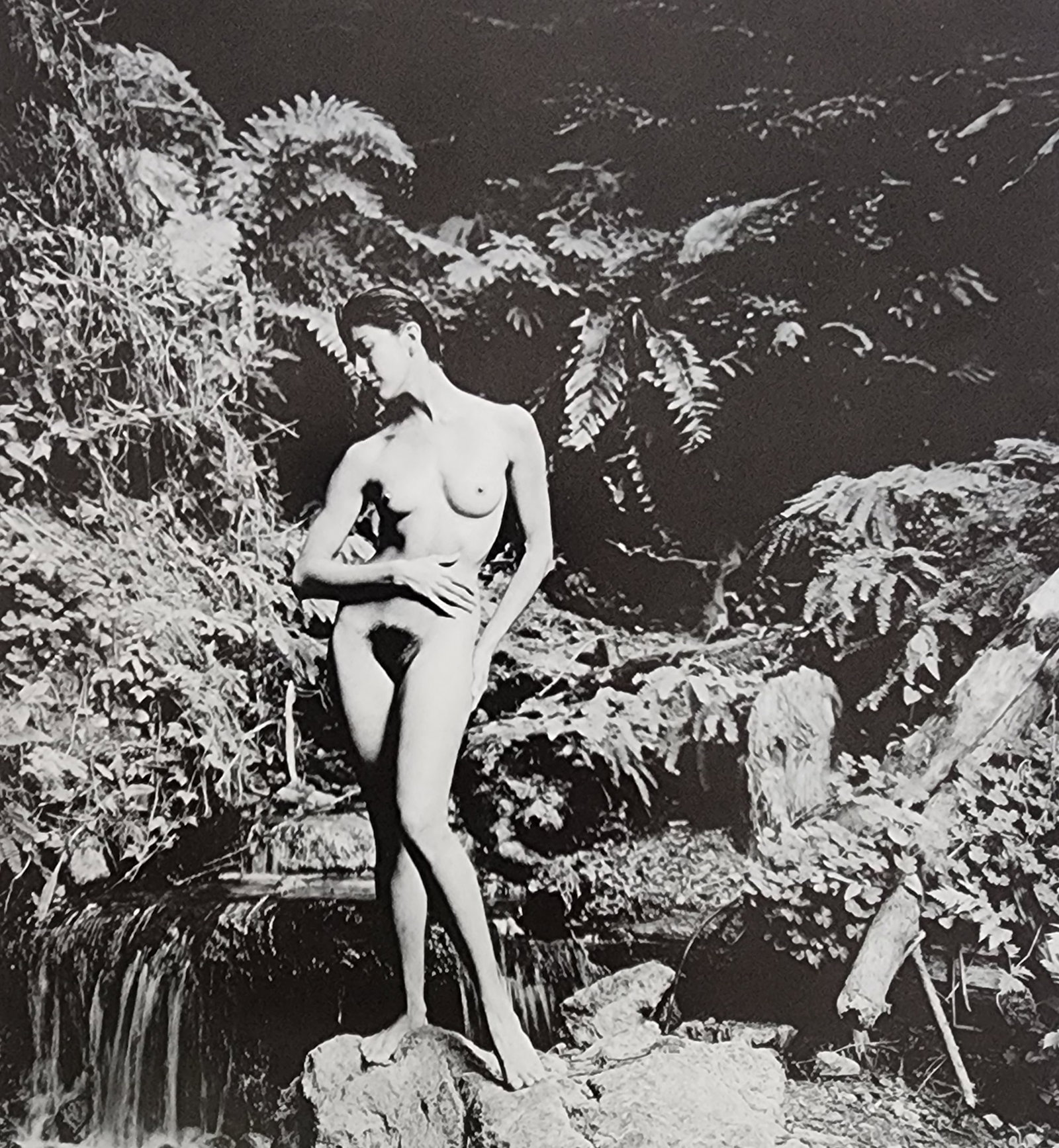 EDNA BULLOCK, female Nude - 1995: Artist/Photographer: EDNA BULLOCK Title/Subject: Female Nude Type Of Print: Authentic Sheet Fed Photogravure/Heliogravure. Date Of Print: 1995 Paper: Medium weight, satin/matte finish. Print Origin: U