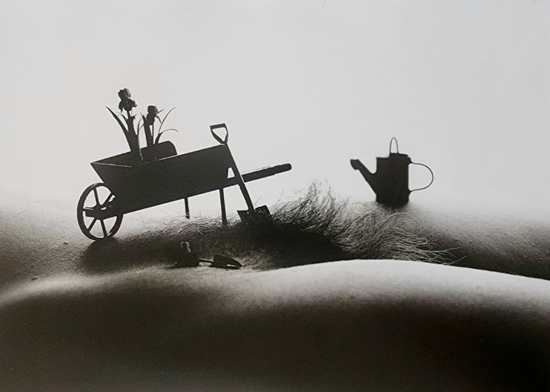 Allan Teger 'Bodyscapes' 2012: Artist/Photographer: Allan I. Teger Title/Subject: Bodyscapes Type Of Print: Authentic Sheet Fed Photogravure/Heliogravure. Date Of Print: 2012 Paper: Medium weight, satin/matte finish. Print Origin: 