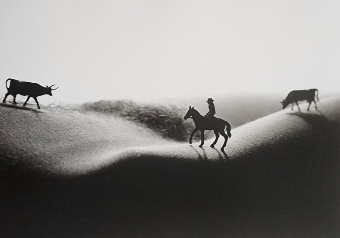 Allan Teger 'Bodyscapes' 2012: Artist/Photographer: Allan I. Teger Title/Subject: Bodyscapes Type Of Print: Authentic Sheet Fed Photogravure/Heliogravure. Date Of Print: 2012 Paper: Medium weight, satin/matte finish. Print Origin: 