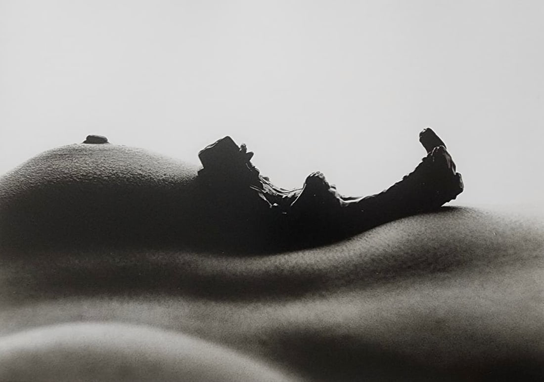 Allan Teger 'Bodyscapes' 2012: Artist/Photographer: Allan I. Teger Title/Subject: Bodyscapes Type Of Print: Authentic Sheet Fed Photogravure/Heliogravure. Date Of Print: 2012 Paper: Medium weight, satin/matte finish. Print Origin: 