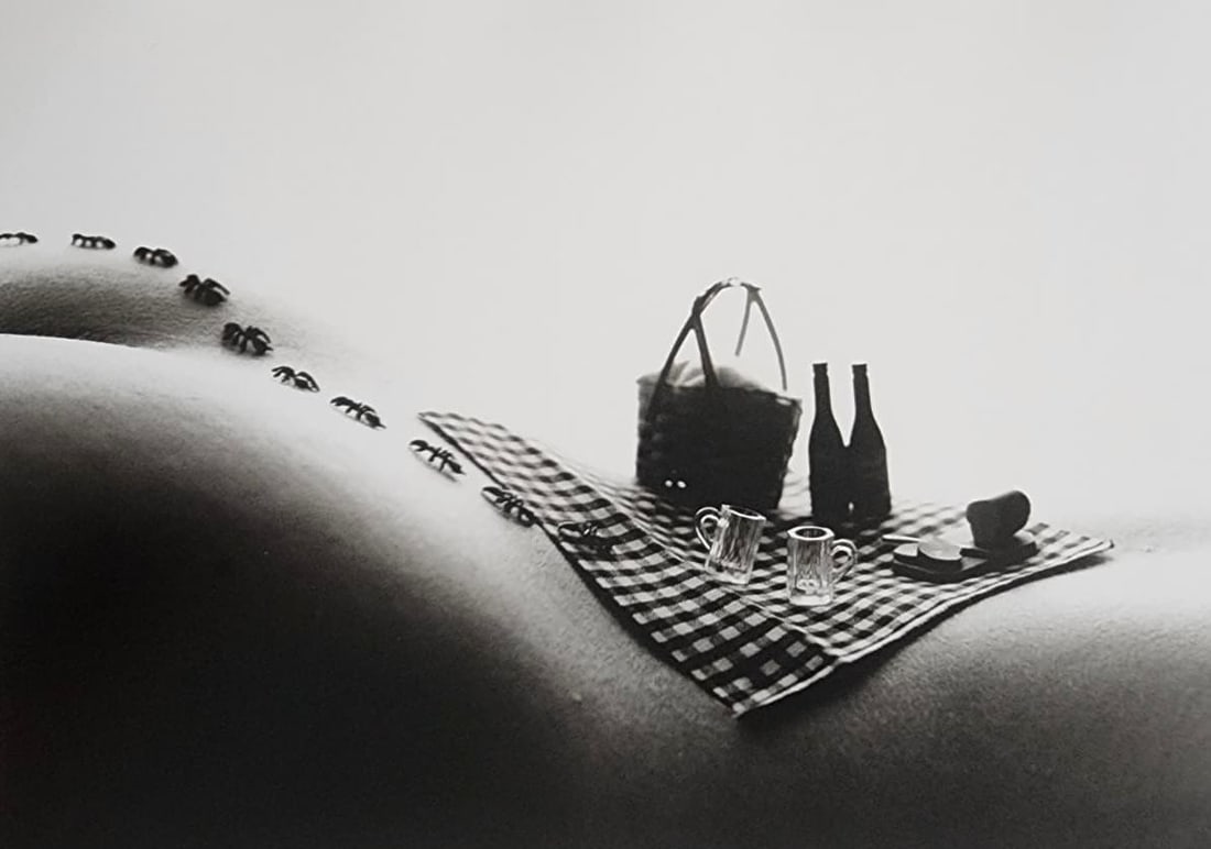 Allan Teger 'Bodyscapes' 2012: Artist/Photographer: Allan I. Teger Title/Subject: Bodyscapes Type Of Print: Authentic Sheet Fed Photogravure/Heliogravure. Date Of Print: 2012 Paper: Medium weight, satin/matte finish. Print Origin: 