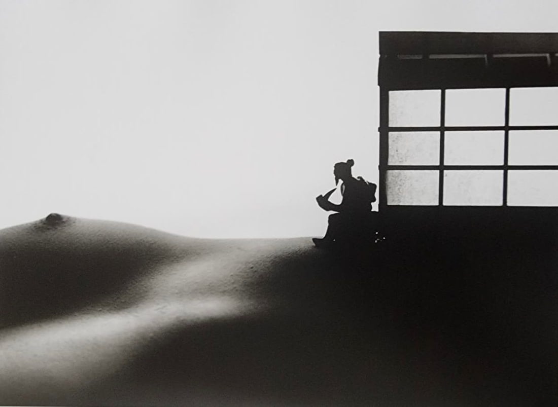 Allan Teger 'Bodyscapes' 2012: Artist/Photographer: Allan I. Teger Title/Subject: Bodyscapes Type Of Print: Authentic Sheet Fed Photogravure/Heliogravure. Date Of Print: 2012 Paper: Medium weight, satin/matte finish. Print Origin: 