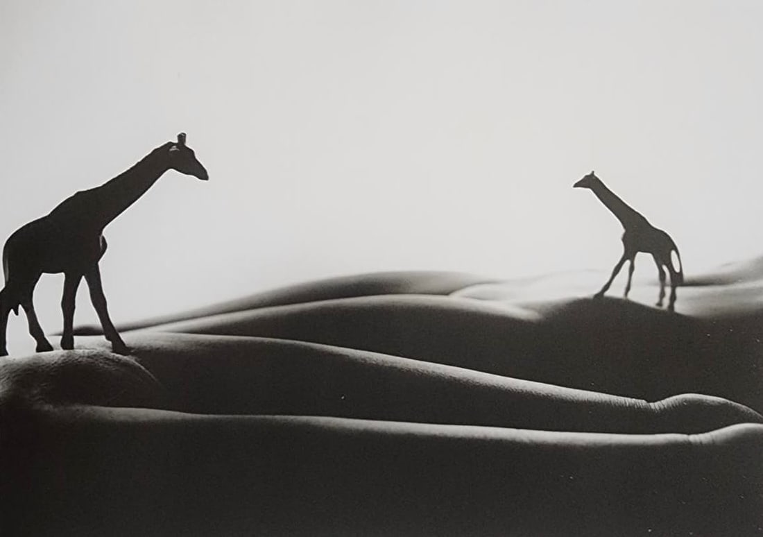 Allan Teger 'Bodyscapes' 2012: Artist/Photographer: Allan I. Teger Title/Subject: Bodyscapes Type Of Print: Authentic Sheet Fed Photogravure/Heliogravure. Date Of Print: 2012 Paper: Medium weight, satin/matte finish. Print Origin: 