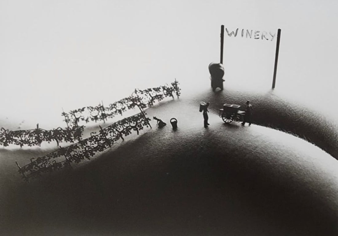 Allan Teger 'Bodyscapes' 2012: Artist/Photographer: Allan I. Teger Title/Subject: Bodyscapes Type Of Print: Authentic Sheet Fed Photogravure/Heliogravure. Date Of Print: 2012 Paper: Medium weight, satin/matte finish. Print Origin: 