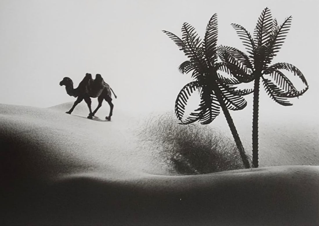 Allan Teger 'Bodyscapes' 2012: Artist/Photographer: Allan I. Teger Title/Subject: Bodyscapes Type Of Print: Authentic Sheet Fed Photogravure/Heliogravure. Date Of Print: 2012 Paper: Medium weight, satin/matte finish. Print Origin: 