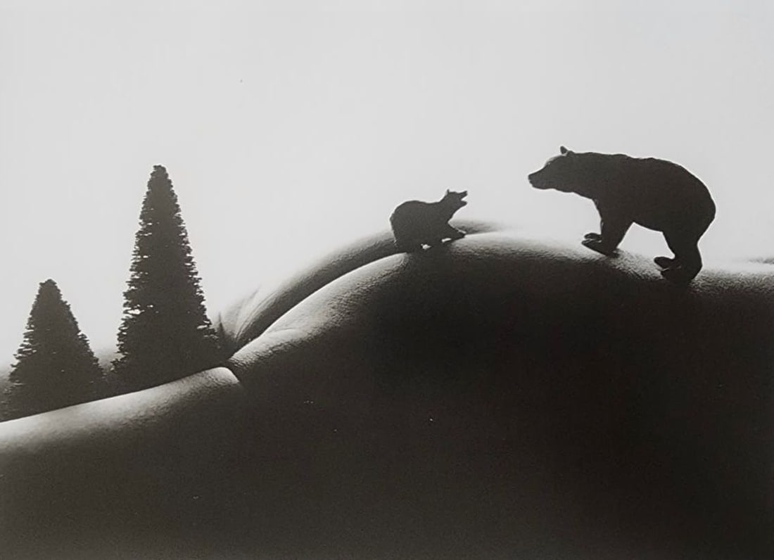 Allan Teger 'Bodyscapes' 2012: Artist/Photographer: Allan I. Teger Title/Subject: Bodyscapes Type Of Print: Authentic Sheet Fed Photogravure/Heliogravure. Date Of Print: 2012 Paper: Medium weight, satin/matte finish. Print Origin: 