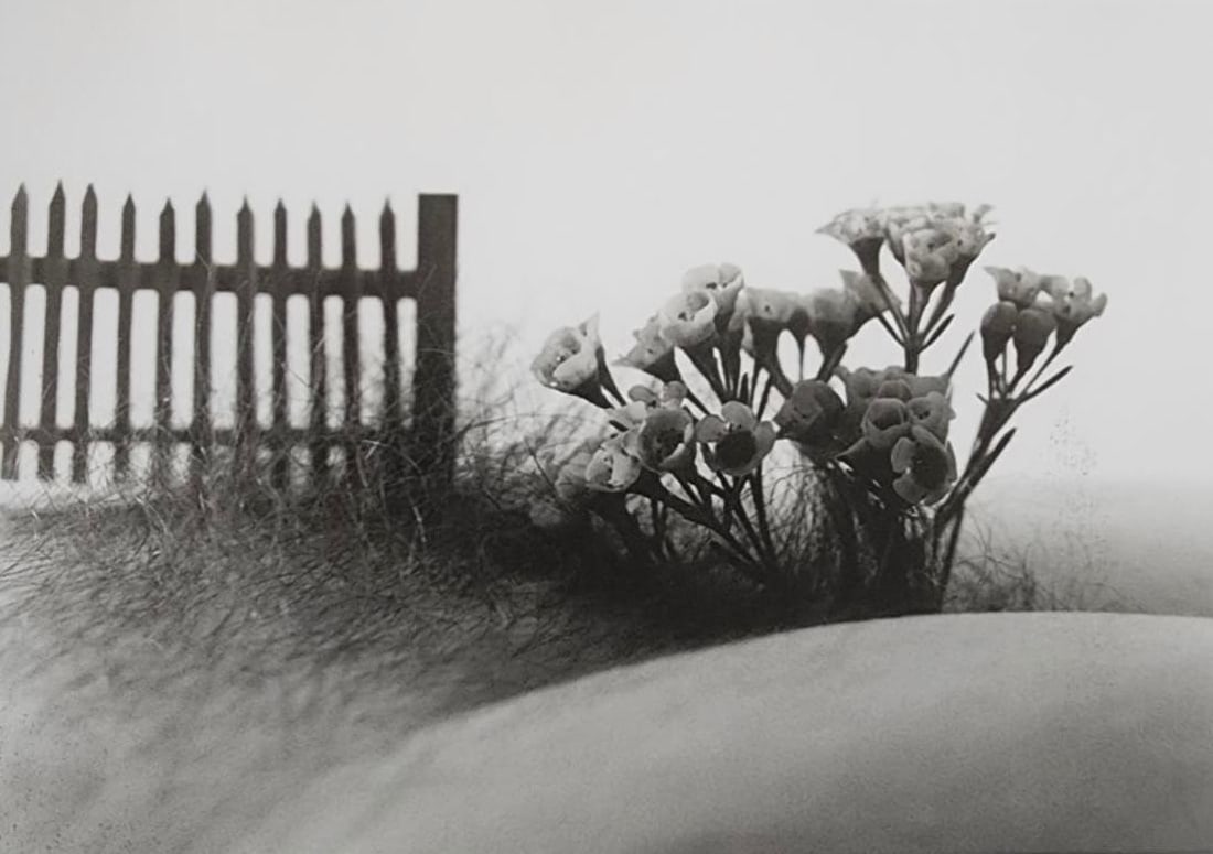 Allan Teger 'Bodyscapes' 2012: Artist/Photographer: Allan I. Teger Title/Subject: Bodyscapes Type Of Print: Authentic Sheet Fed Photogravure/Heliogravure. Date Of Print: 2012 Paper: Medium weight, satin/matte finish. Print Origin: 