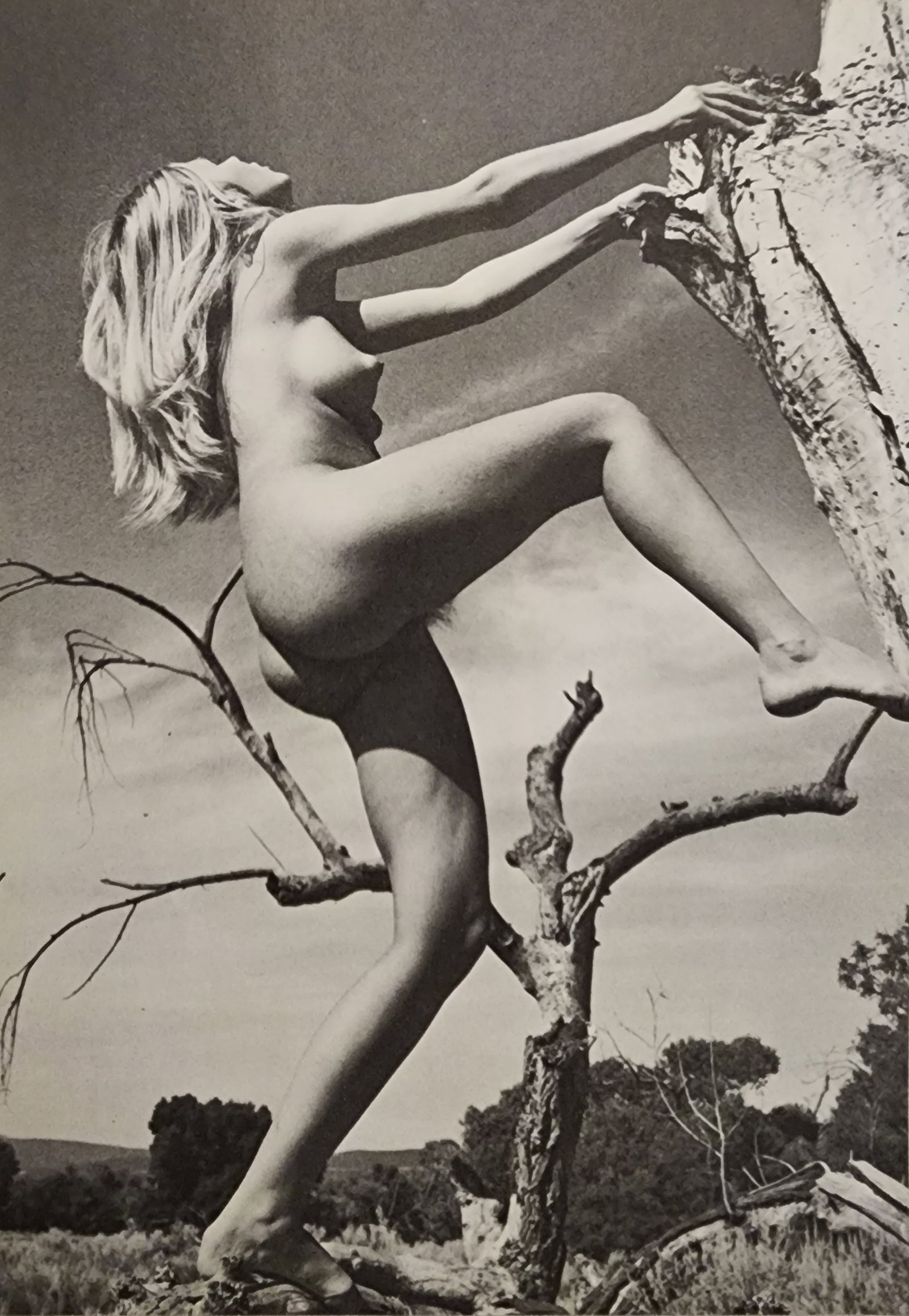 Andre de Dienes, Vintage Nudes, 1961: Artist/Photographer: Type Of Print: Authentic Sheet Fed Photogravure/Heliogravure. Date Of Print: Paper: Medium weight, satin/matte finish. Approximate Image Size: 8x5.5 inches Matted Size: 14x11 Inch