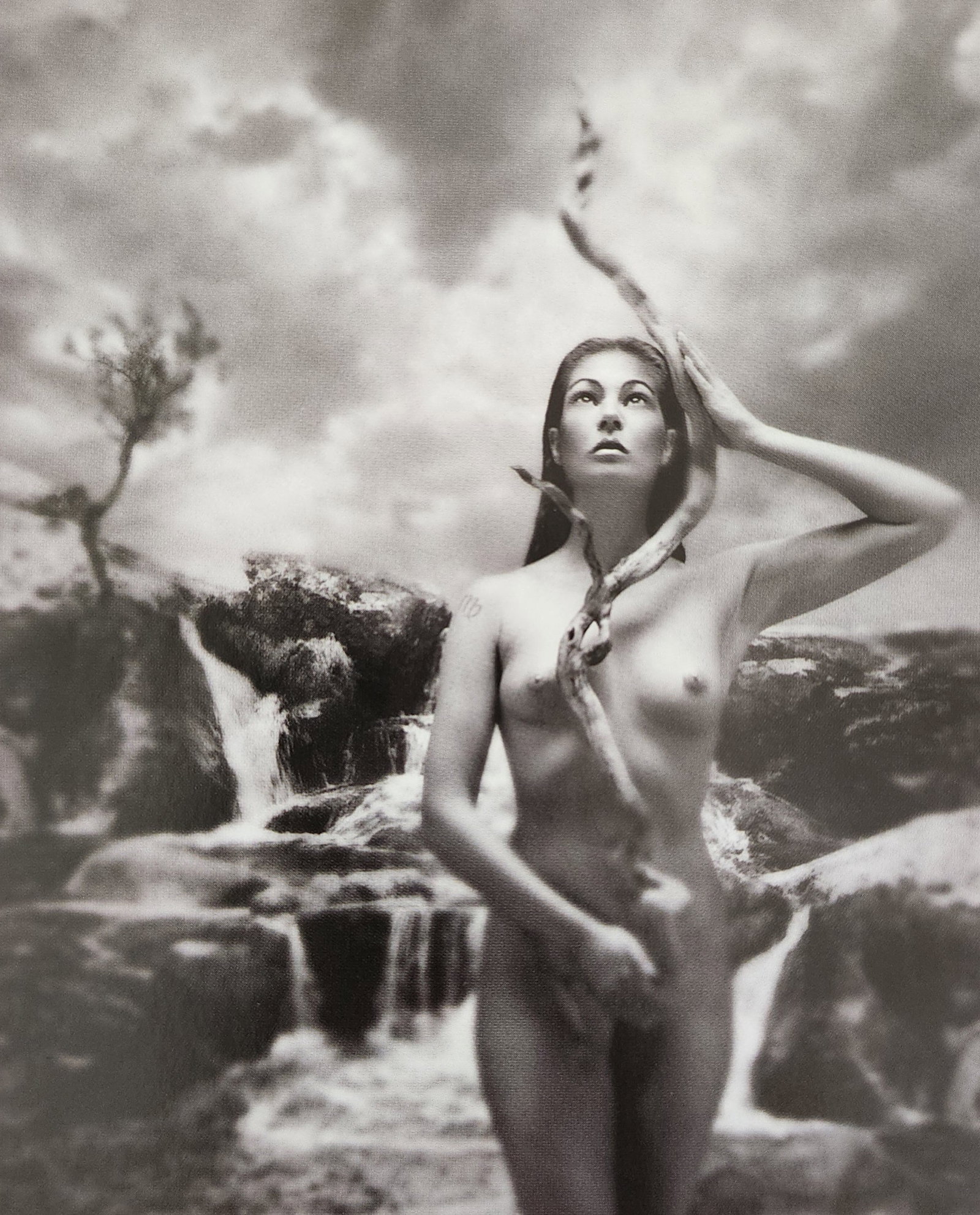 Fantasy Nude, 2003: Artist/Photographer: Various Photographers Title/Subject: Fantasy Nude Type Of Print: Authentic Sheet Fed Photogravure/Heliogravure. Date Of Print: 2003 Paper: Medium weight, satin/matte finish. Print