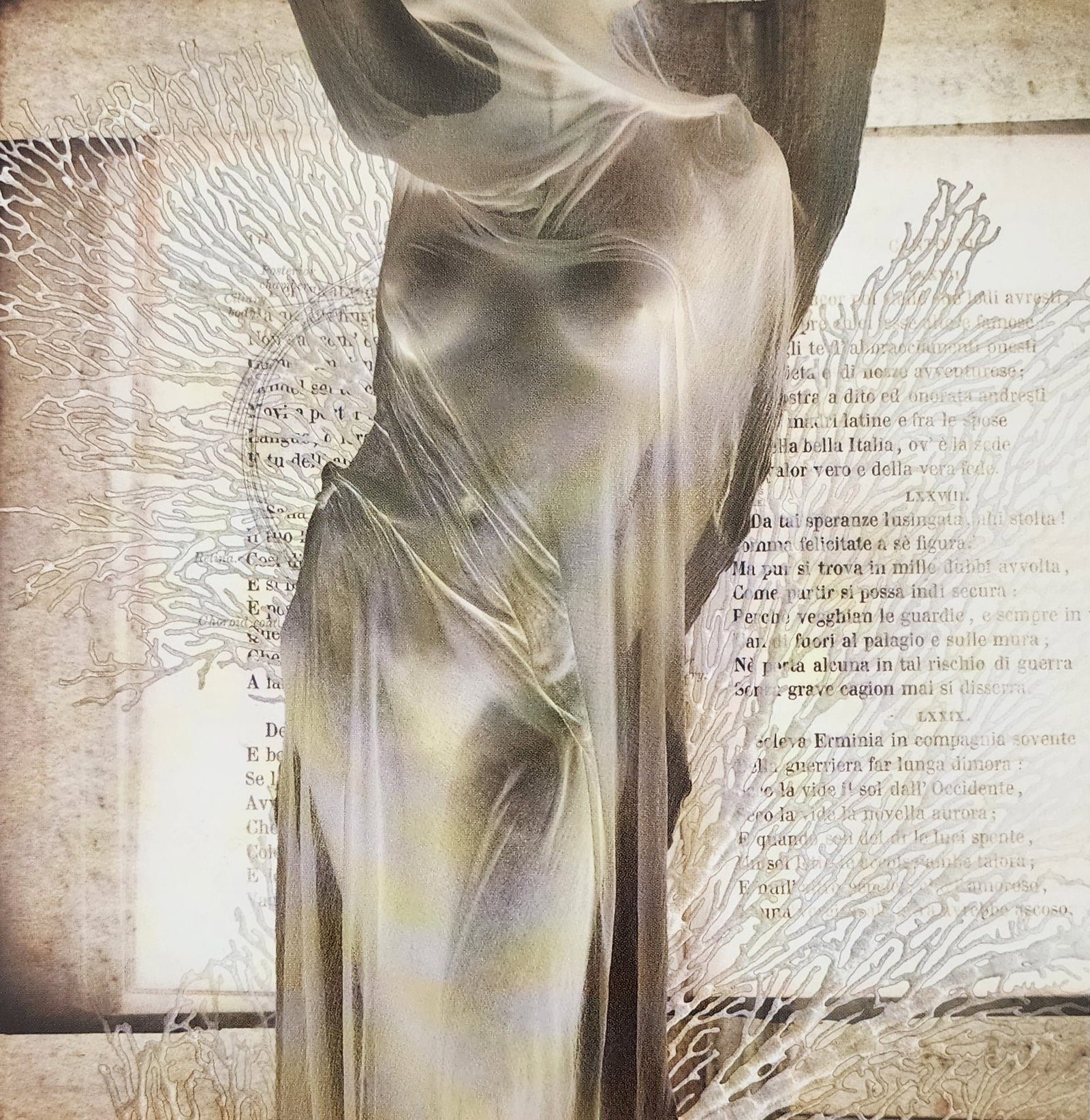 Fantasy Nude, 2003 (1 of 1)