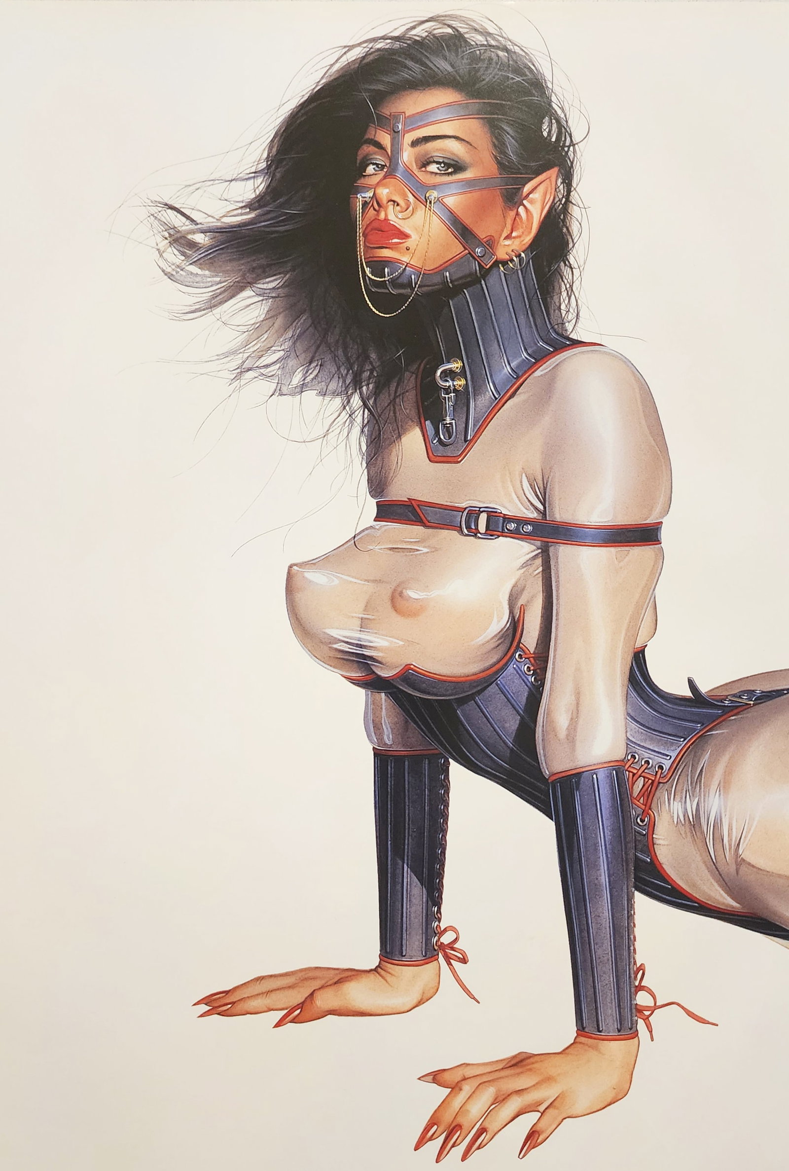 Hajime Sorayama, The Gynoids 1993 - Large format offset lithograph: Artist: Hajime Sorayama Title: The Gynoids Medium: Offset lithograph Year: 1993 Printed in Japan Size: 14 x 9 inces Matted Size: 20 x 16 Inches Condition: Excellent