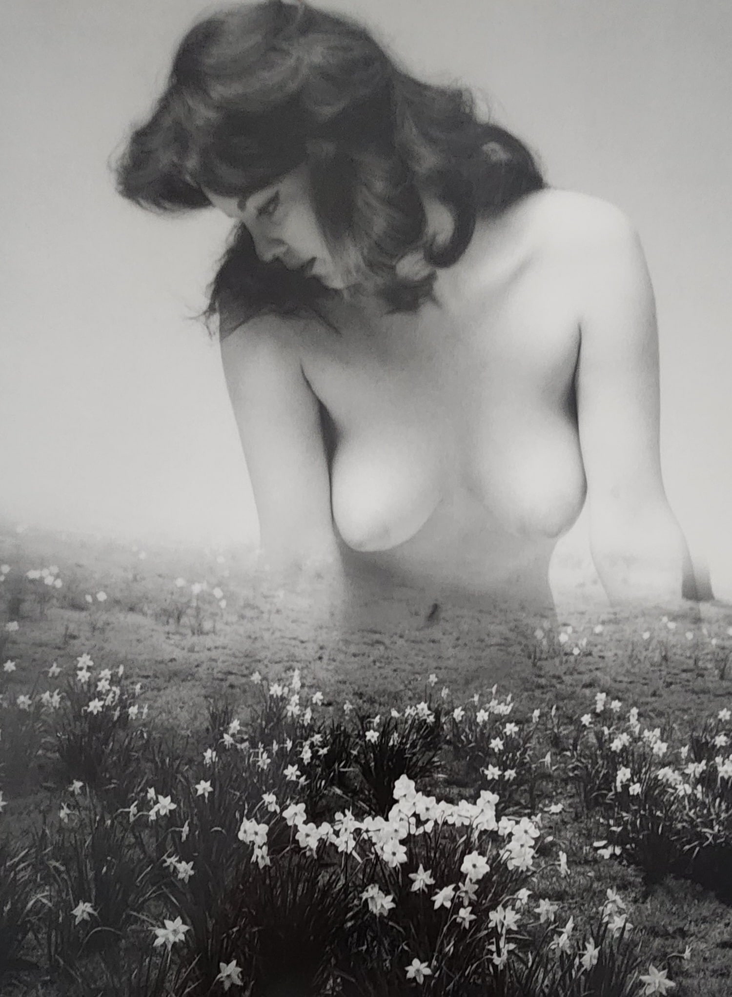 Andre de Dienes - Nude Studies 2005: Artist/Photographer: Andre de Dienes Title/Subject: Nude Studies Type Of Print: Authentic Sheet Fed Photogravure/Heliogravure. Date Of Print: 2005 Paper: Medium weight, satin/matte finish. Print Origi